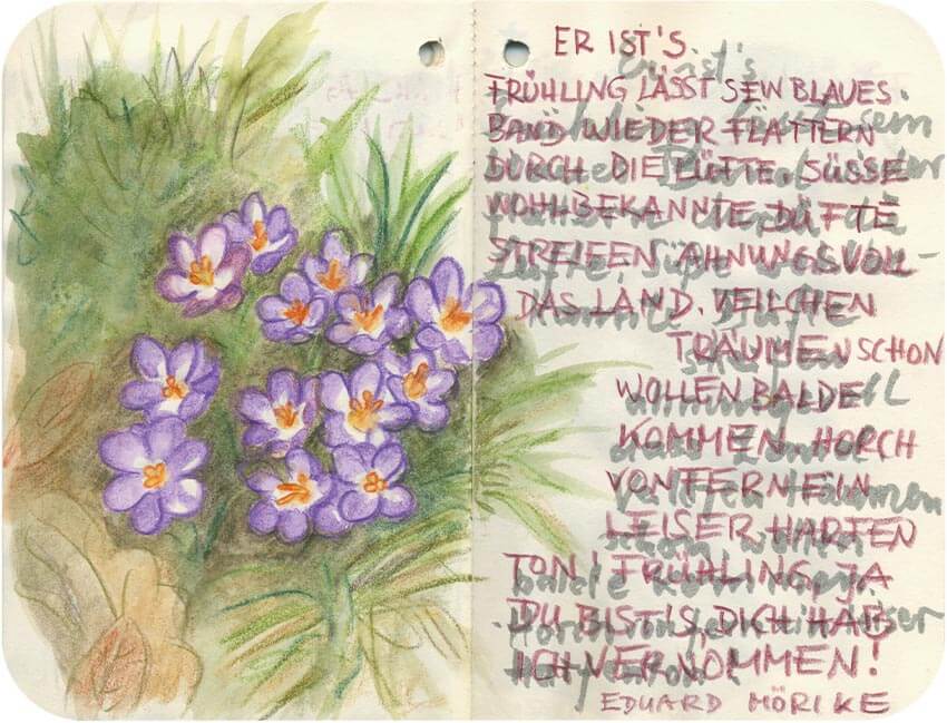 Titelbild von Sketchbook 00011