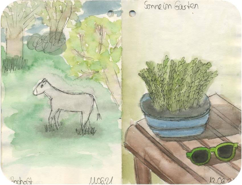 Titelbild von Sketchbook 00021