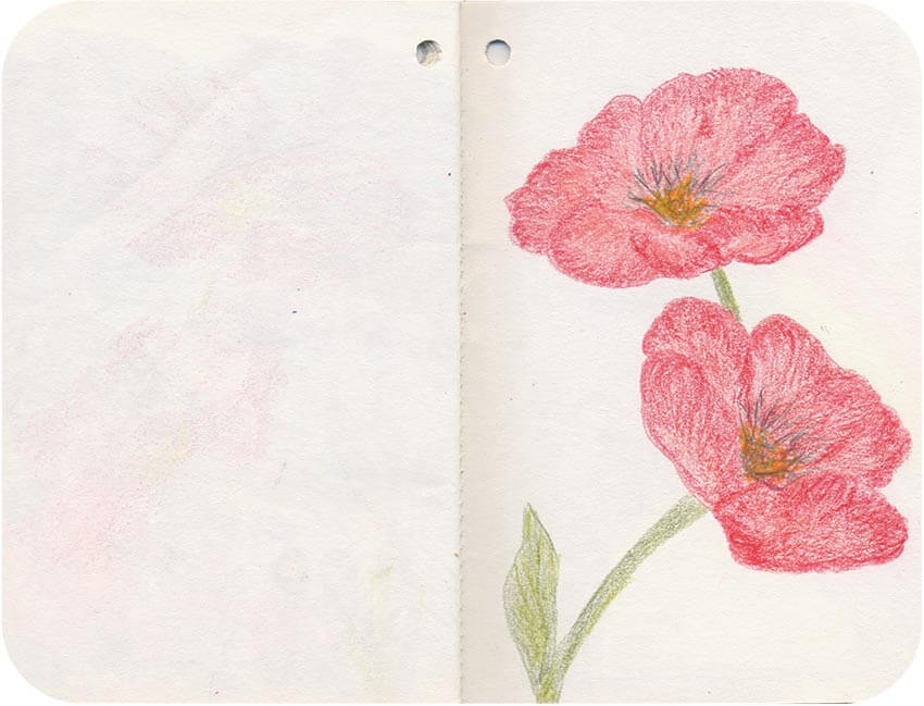 Titelbild von Sketchbook 00032