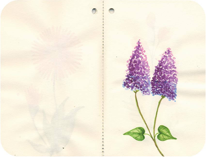 Titelbild von Sketchbook 00072