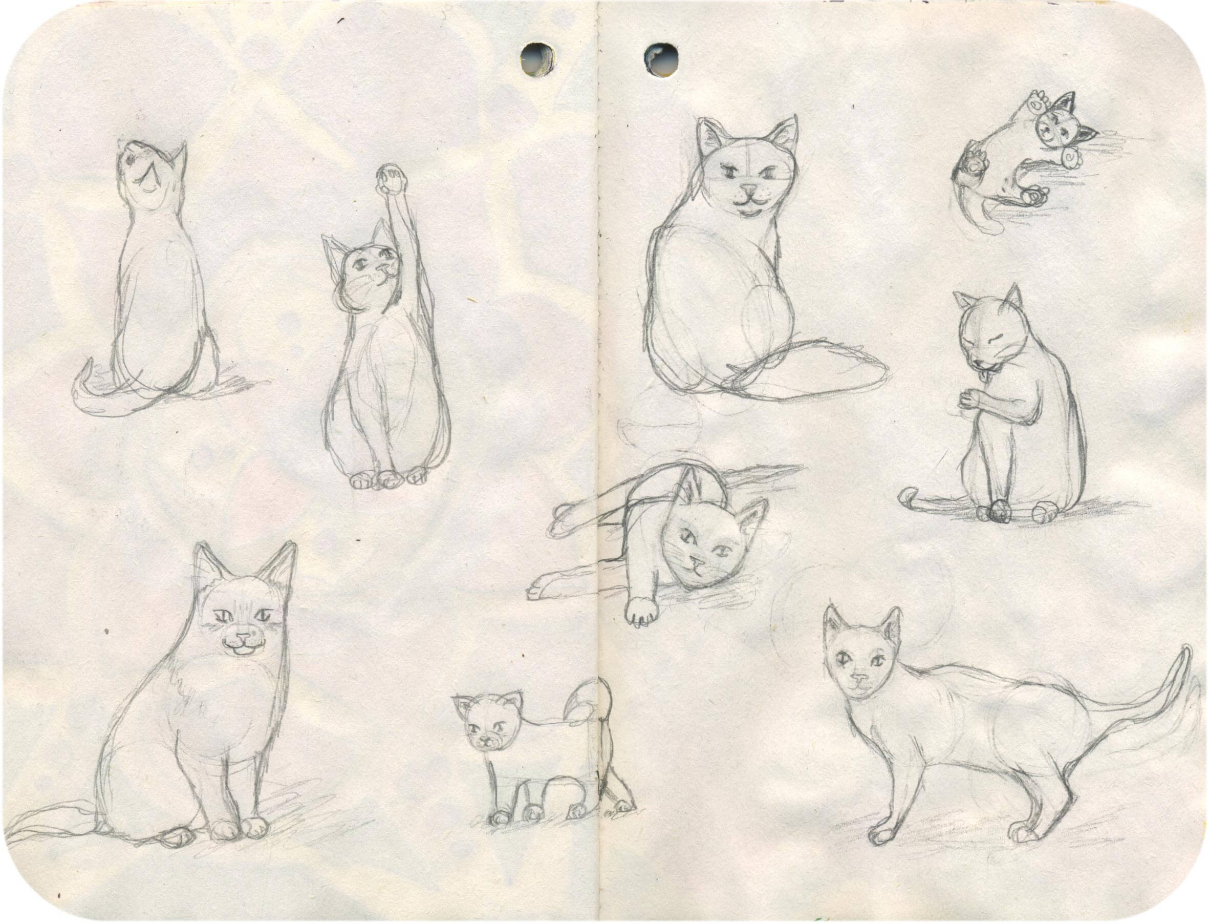 Titelbild von Sketchbook 00153