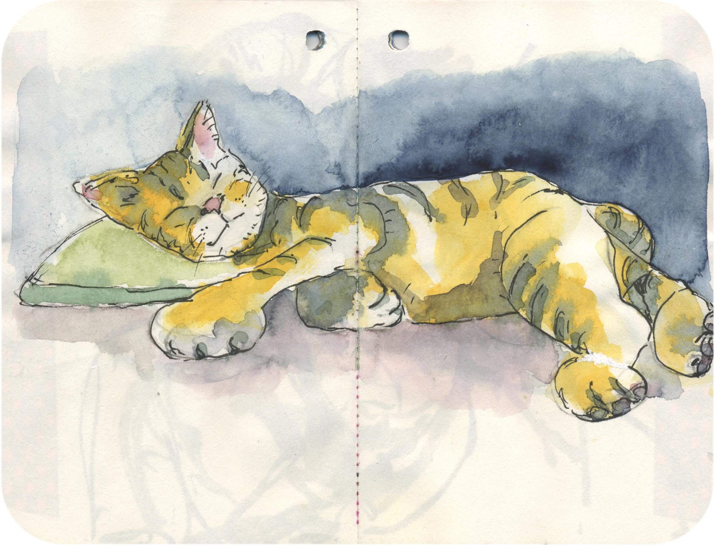 Titelbild von Sketchbook 00156