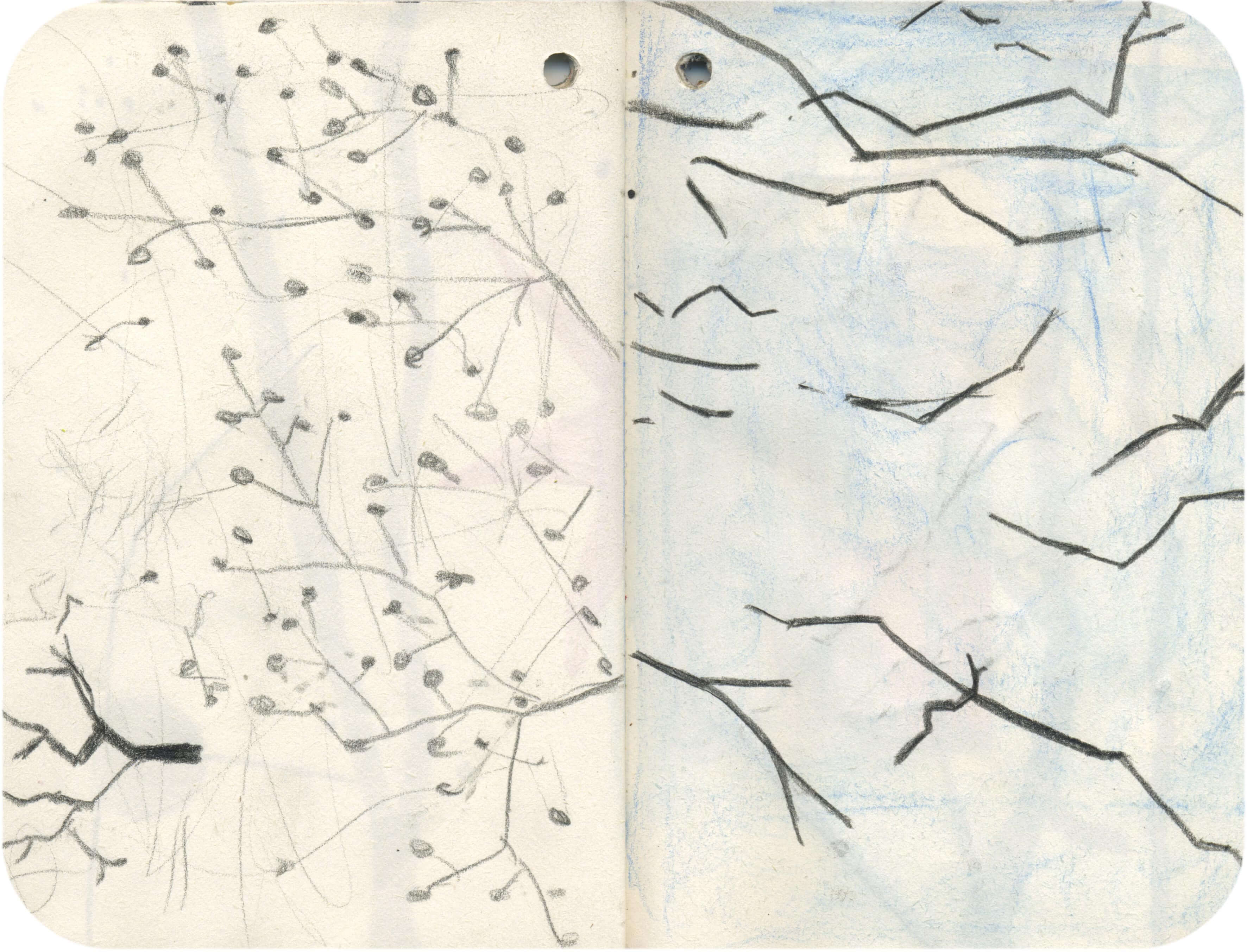 Titelbild von Sketchbook 00171