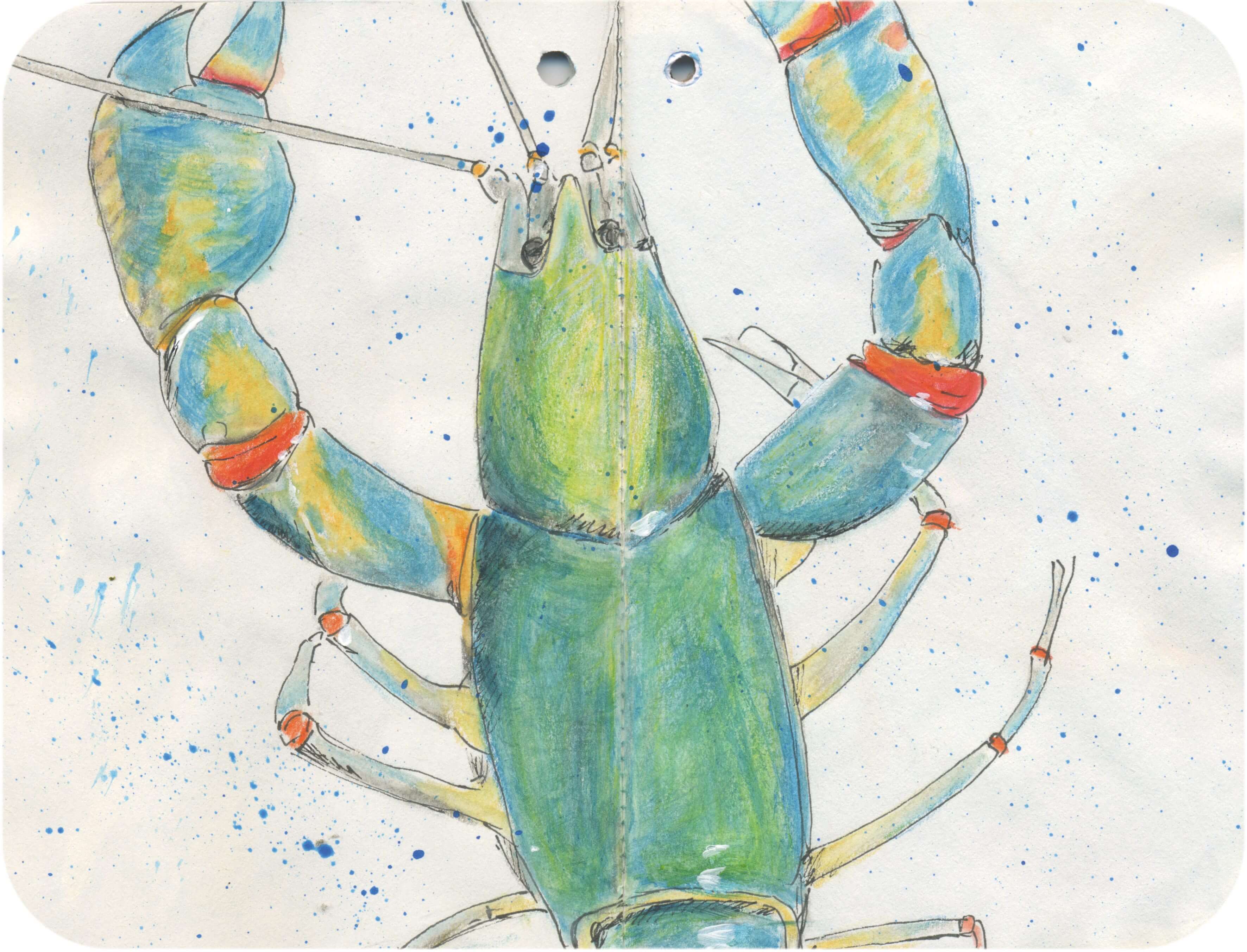 Titelbild von Sketchbook 00225