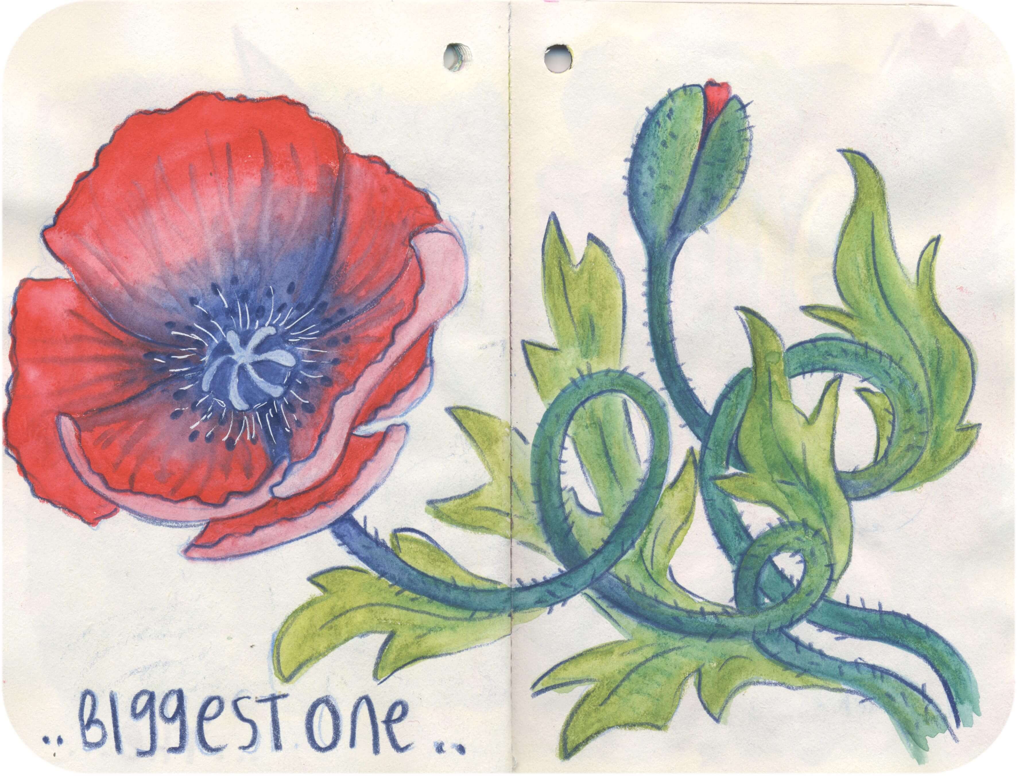 Titelbild von Sketchbook 00231