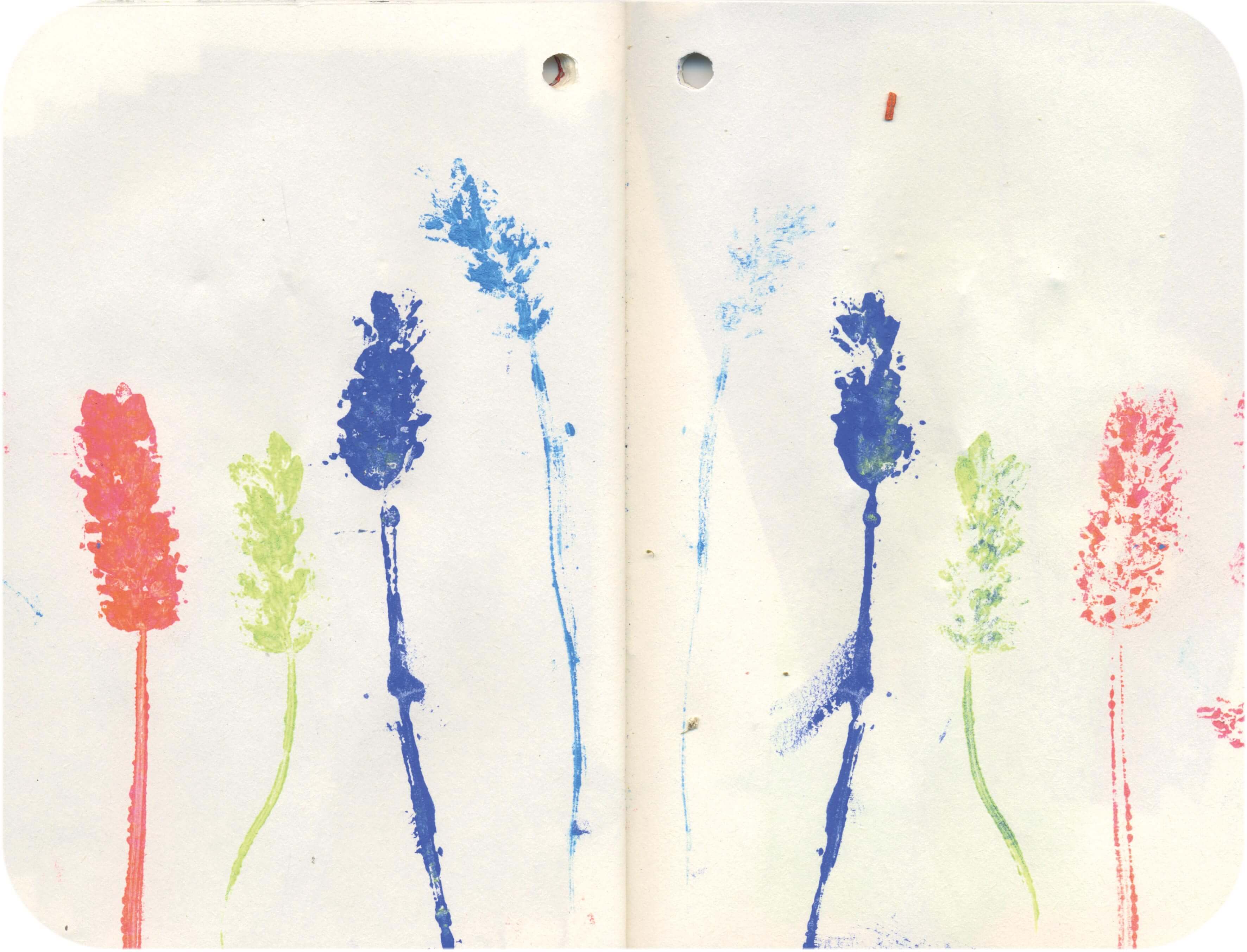 Titelbild von Sketchbook 00239