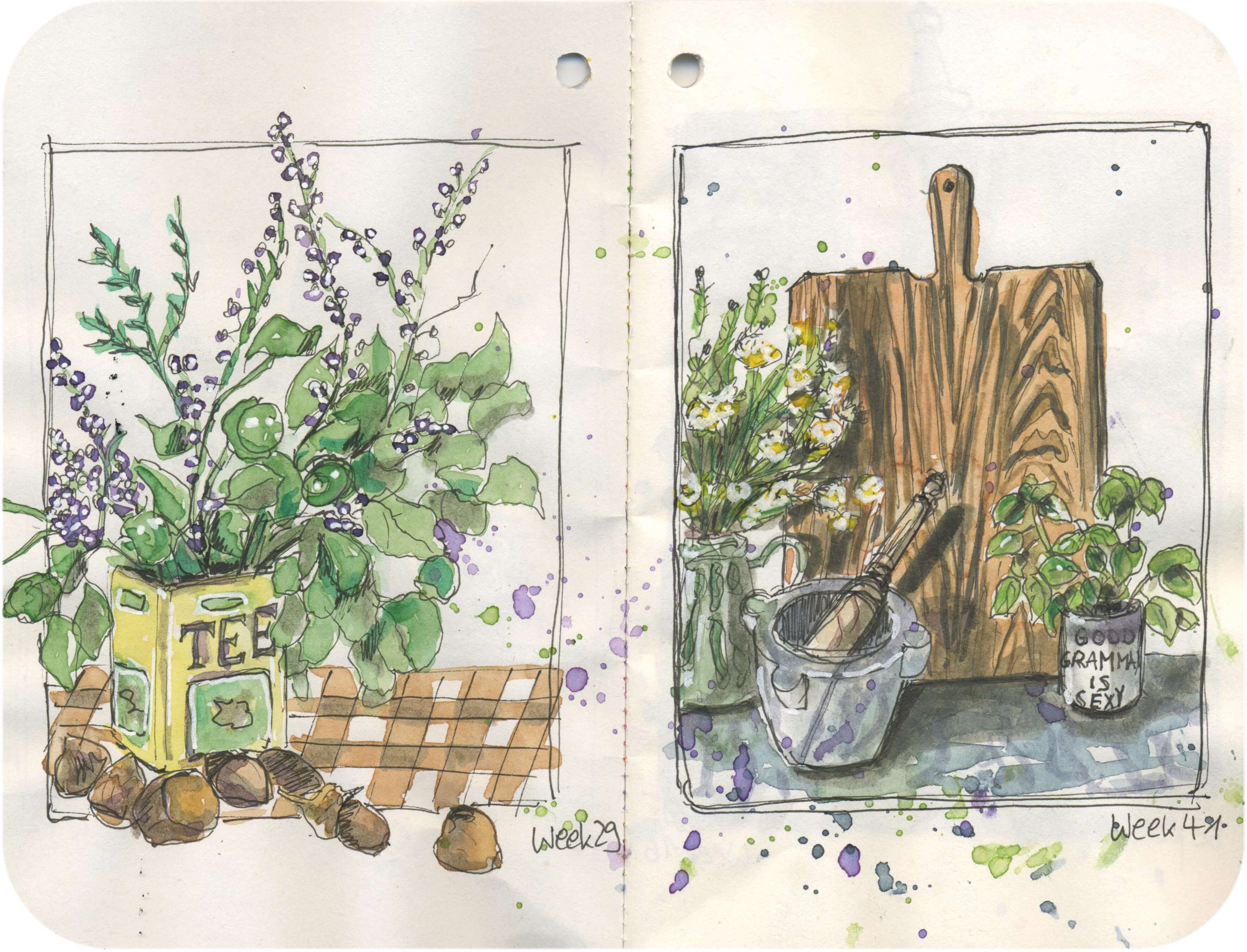 Titelbild von Sketchbook 00249