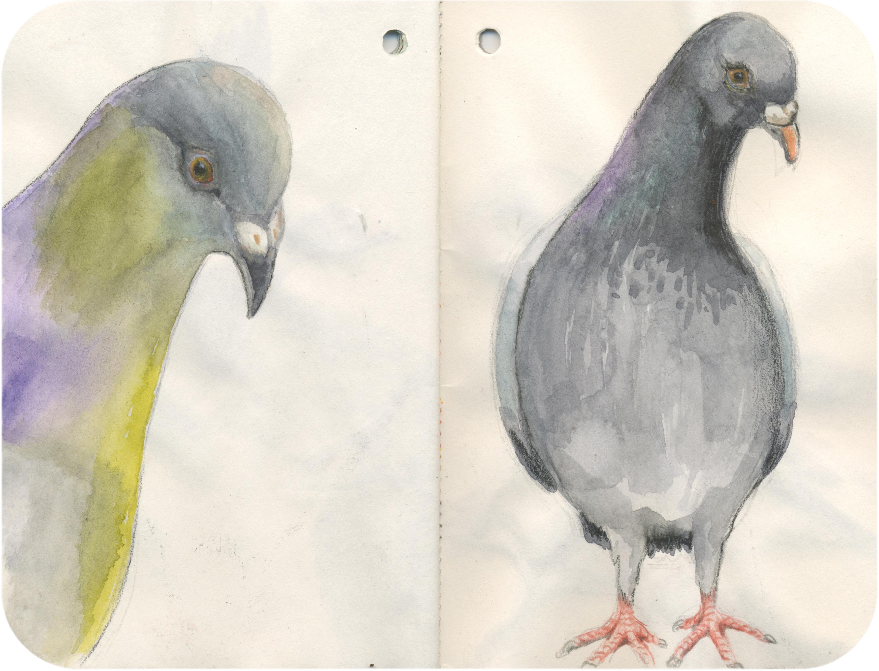 Titelbild von Sketchbook 00284