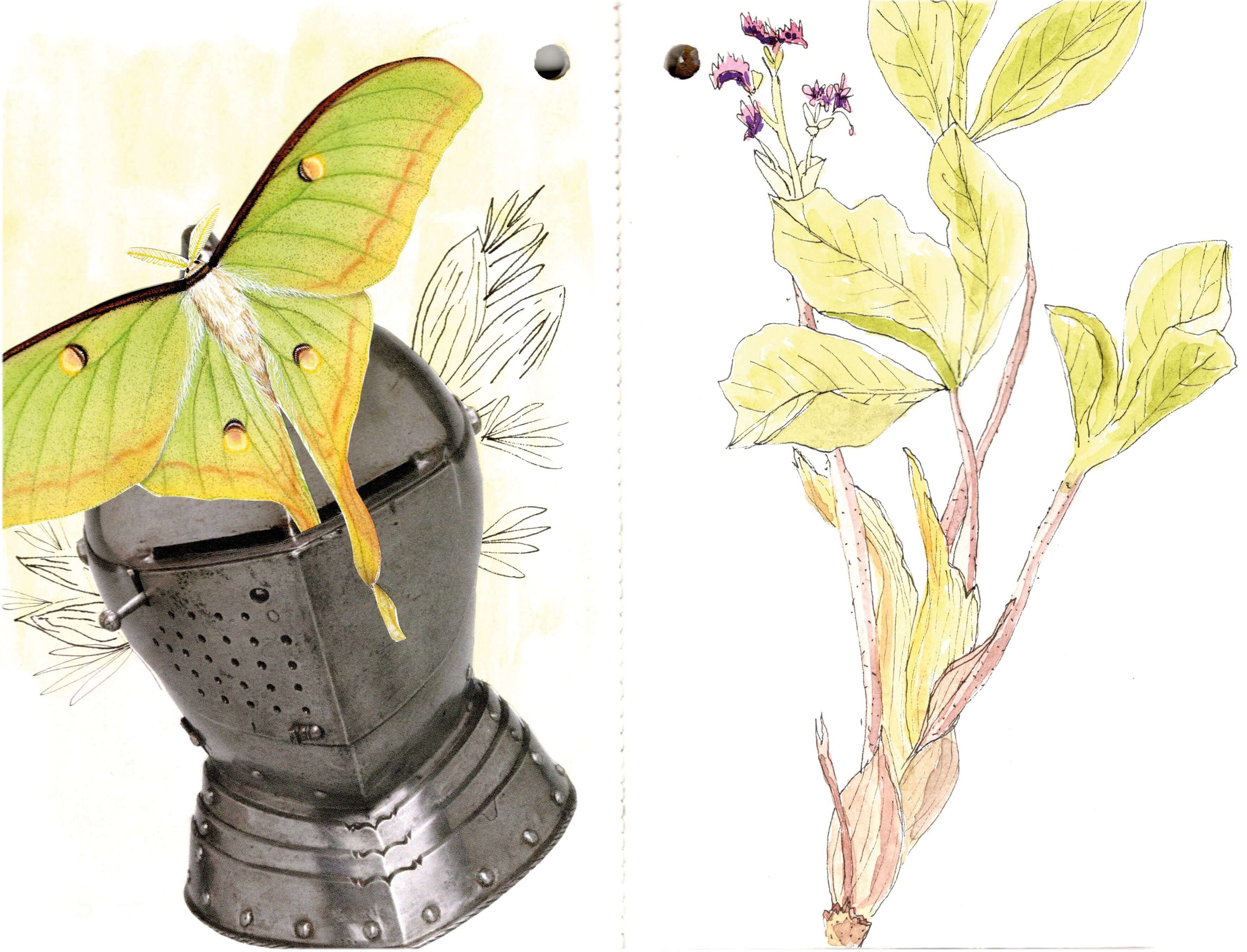 Titelbild von Sketchbook 00293