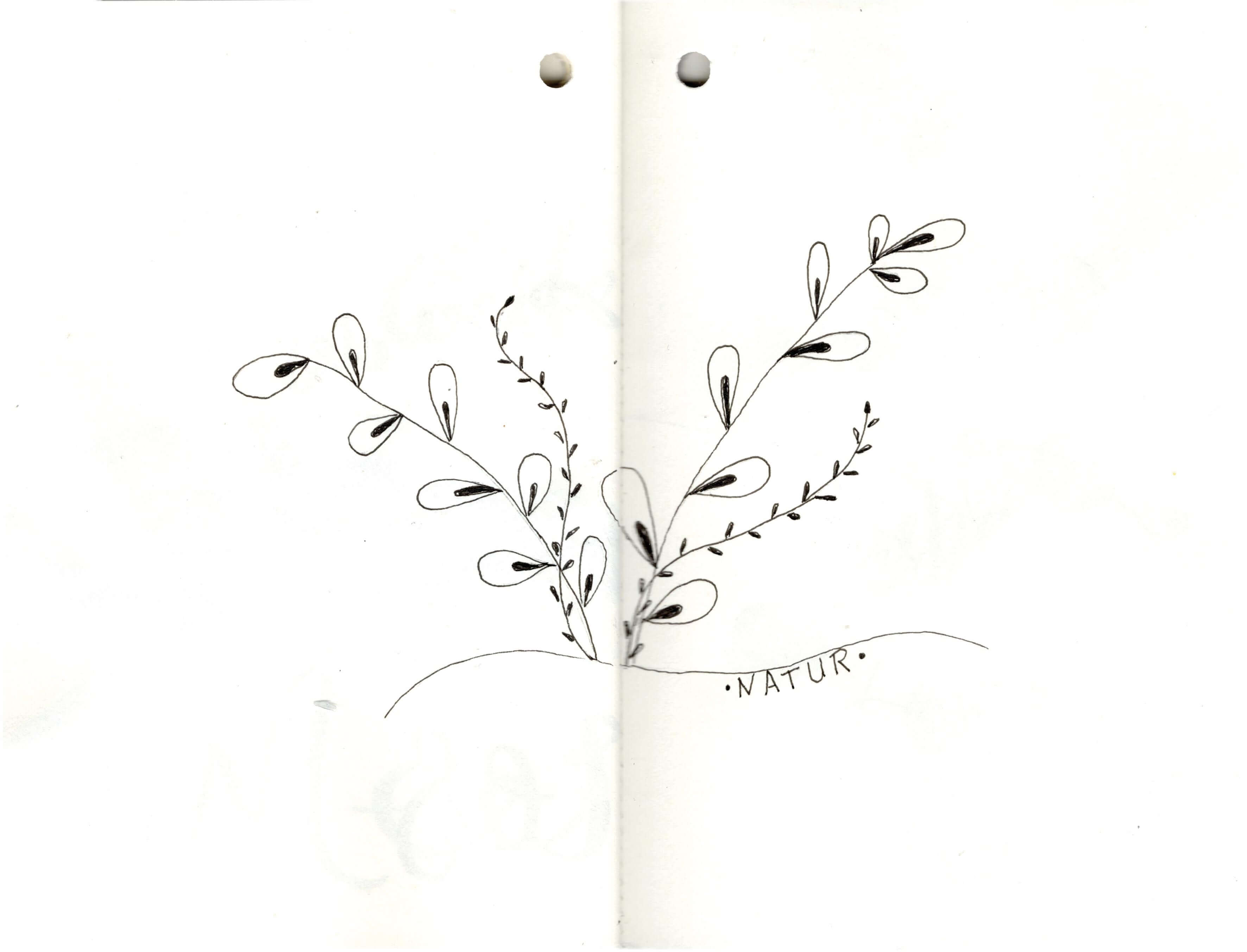 Titelbild von Sketchbook 00300