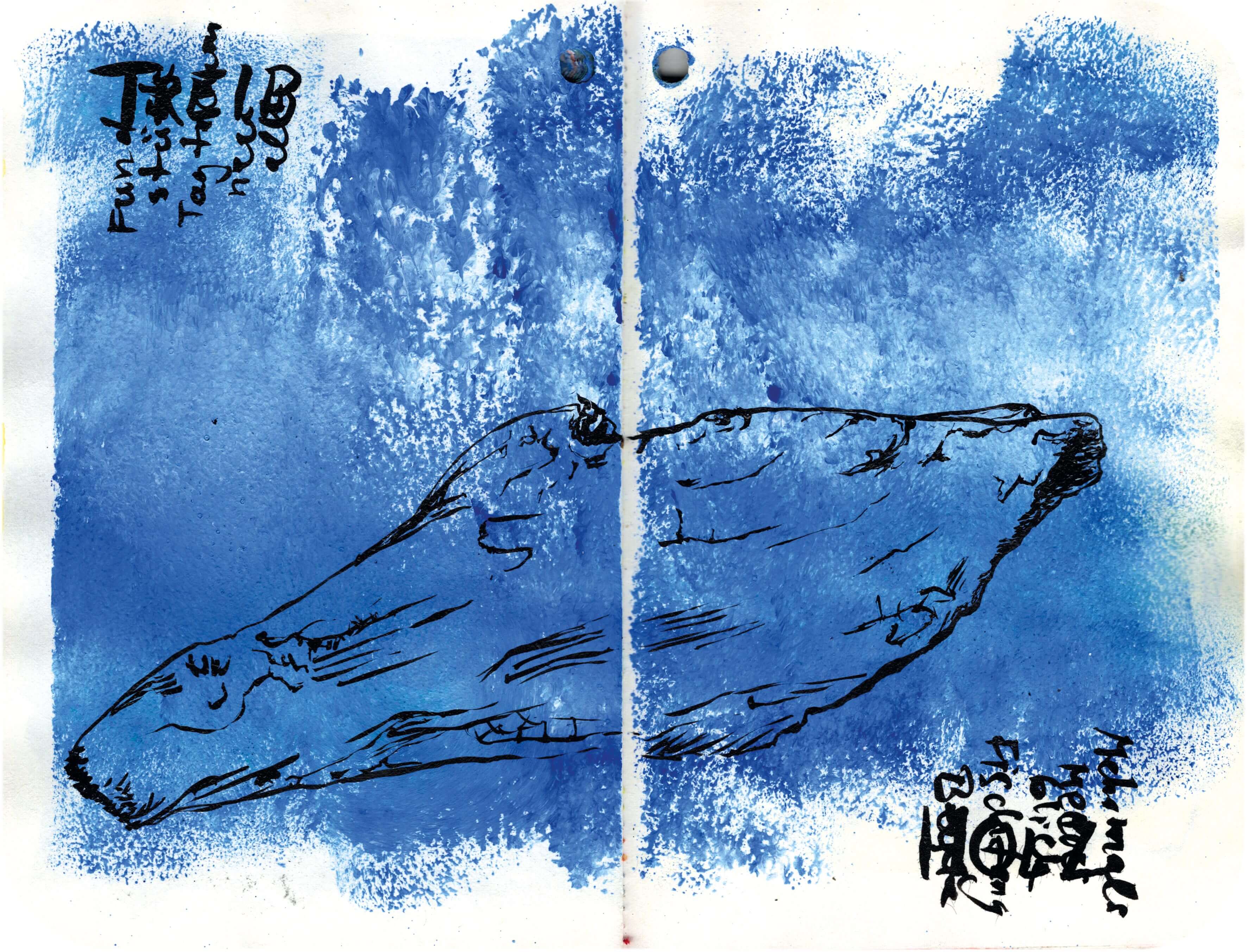 Titelbild von Sketchbook 00309