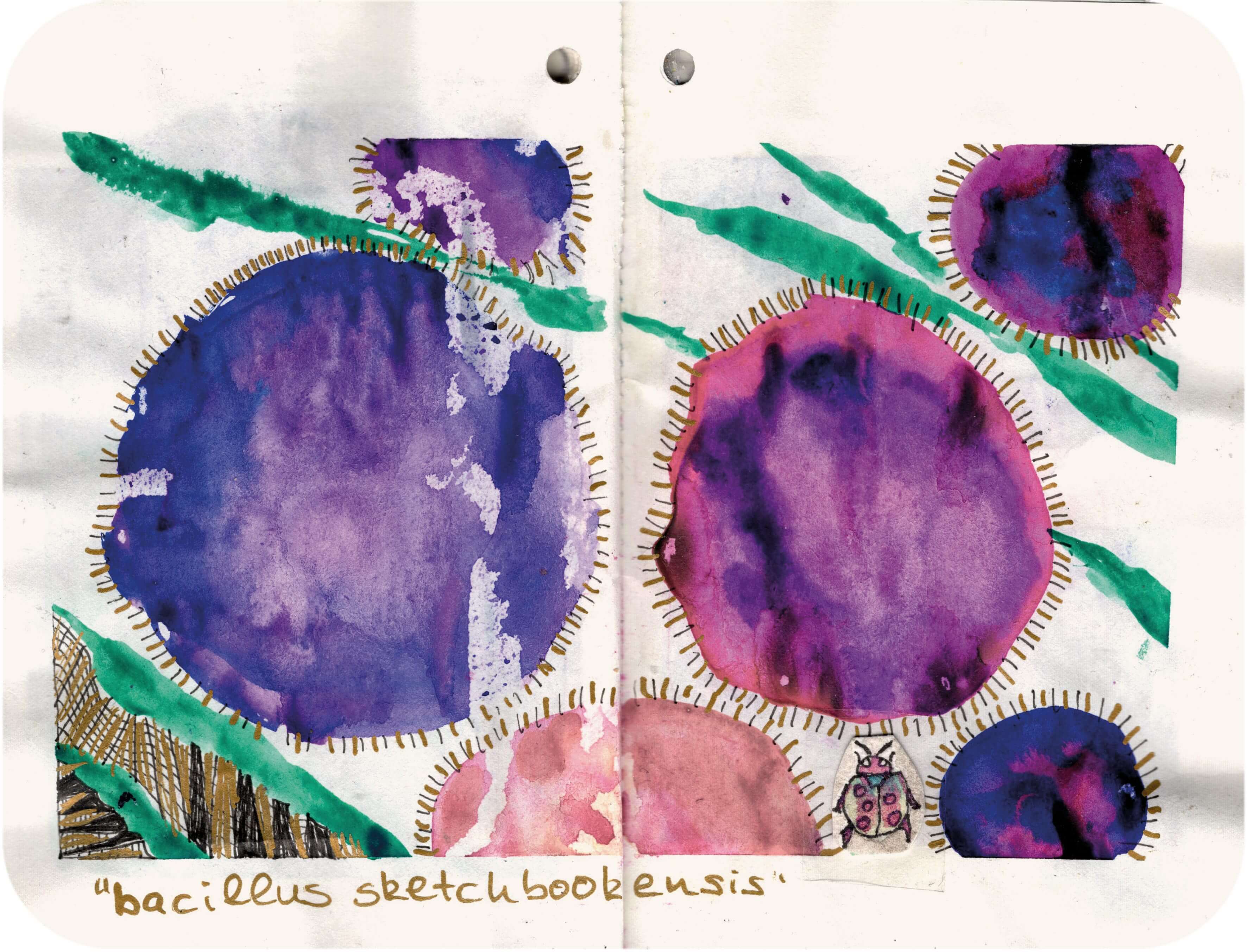 Titelbild von Sketchbook 00319