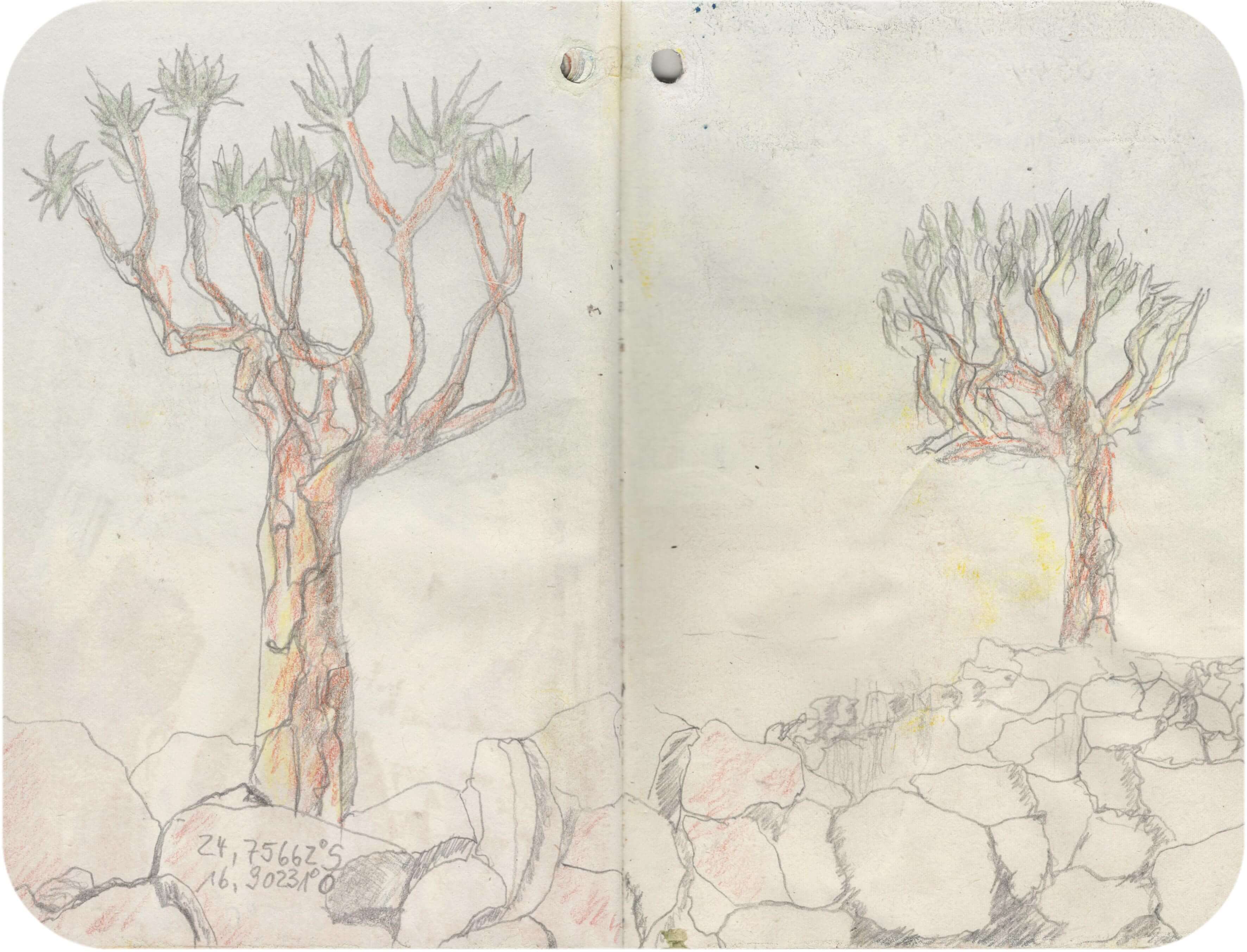 Titelbild von Sketchbook 00321