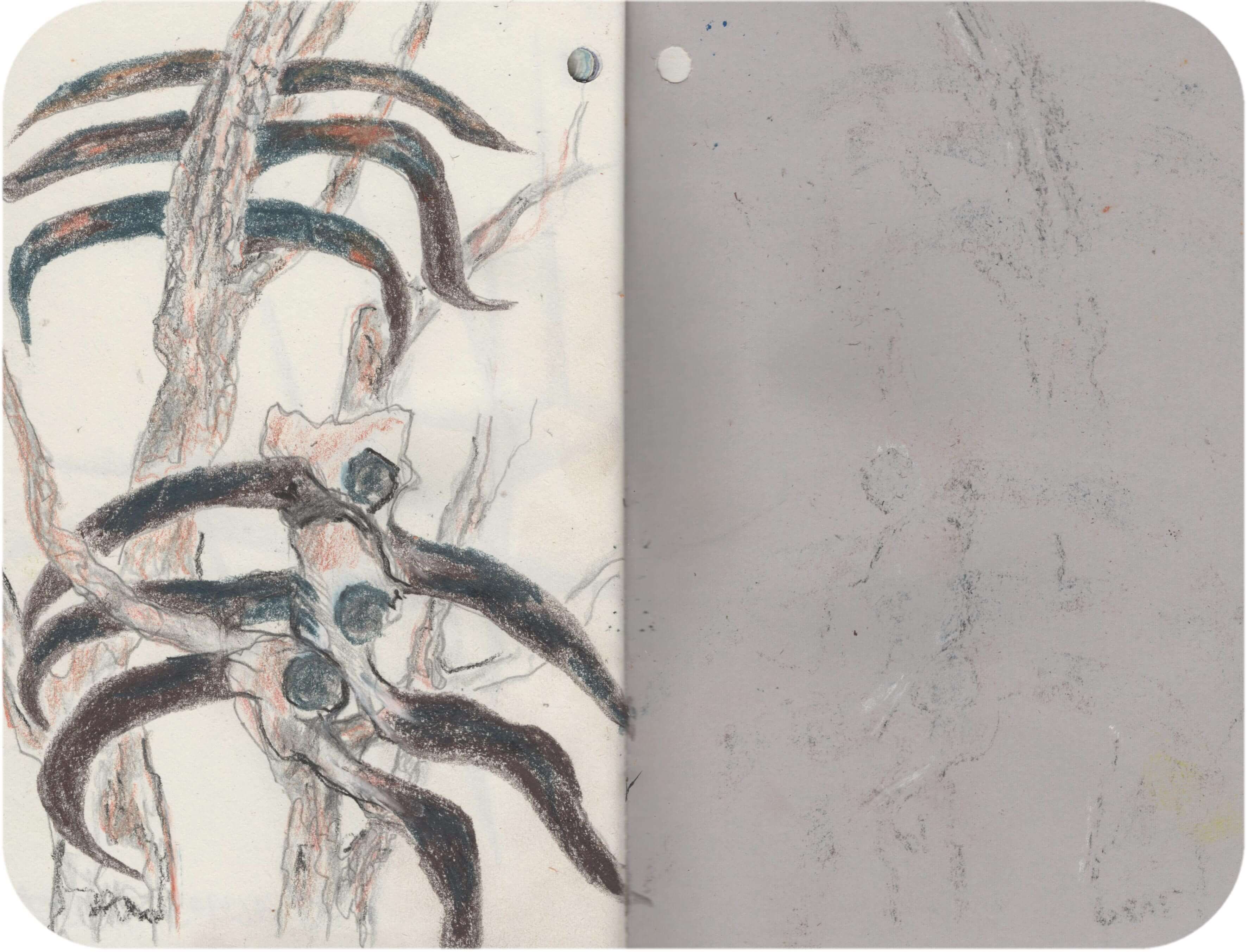 Titelbild von Sketchbook 00321