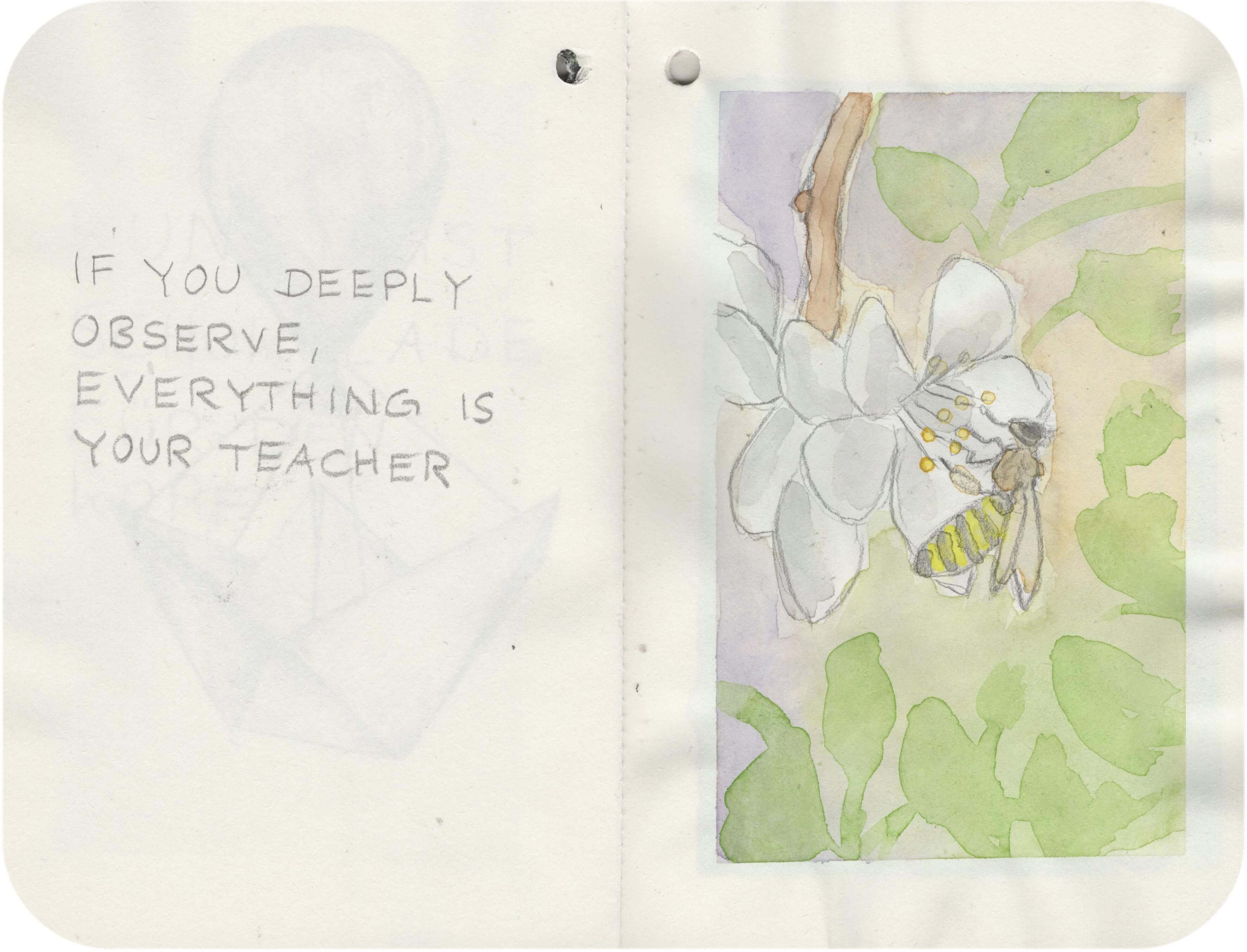 Titelbild von Sketchbook 00325