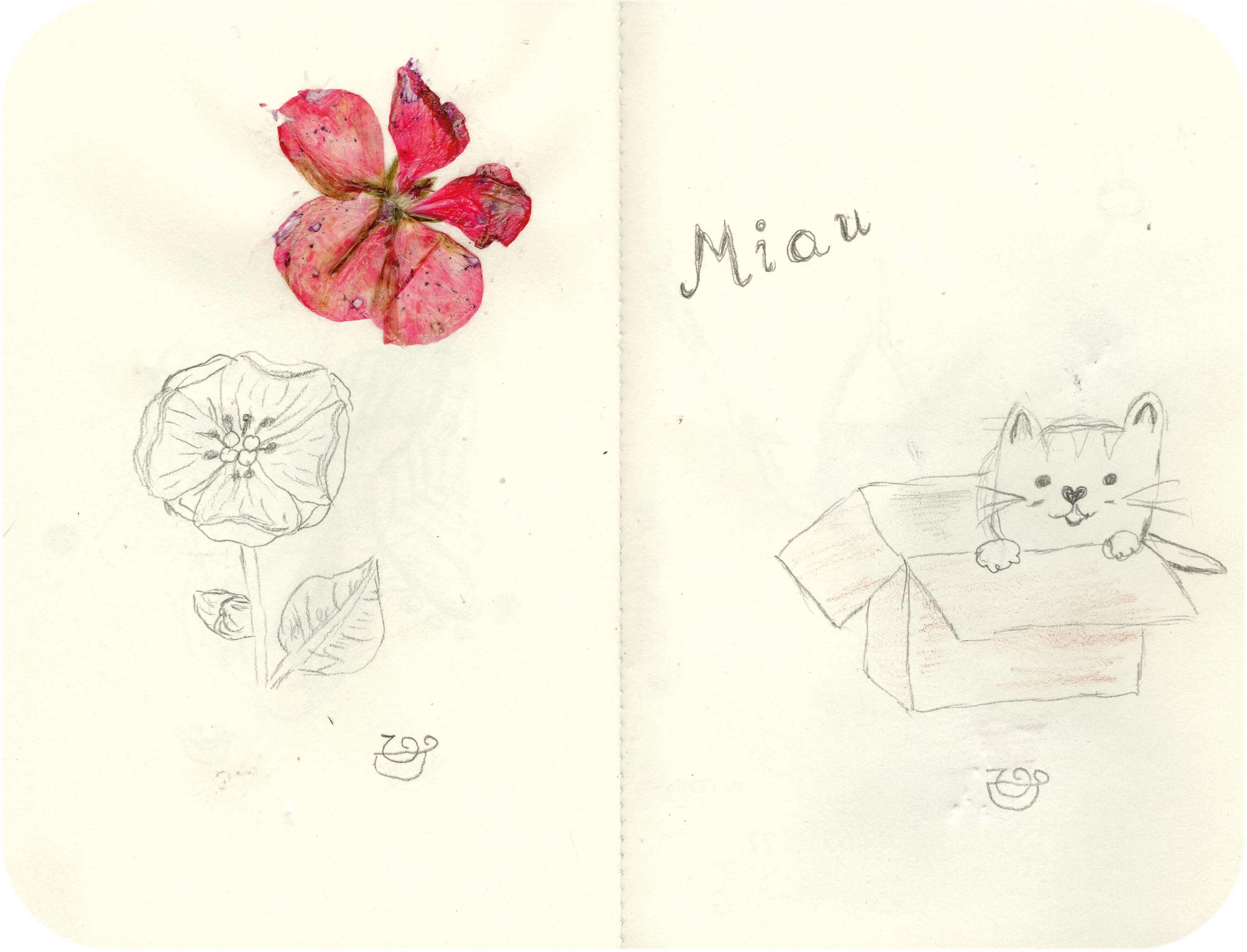 Titelbild von Sketchbook 00341