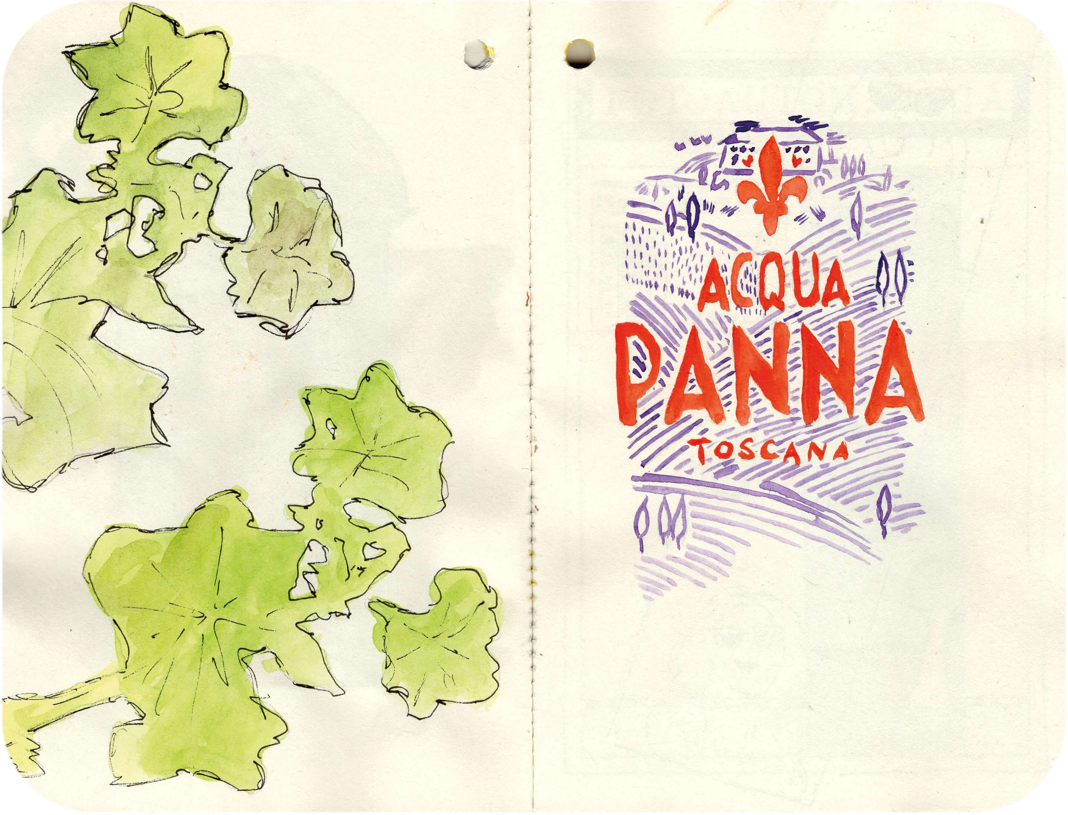 Titelbild von Sketchbook 00342