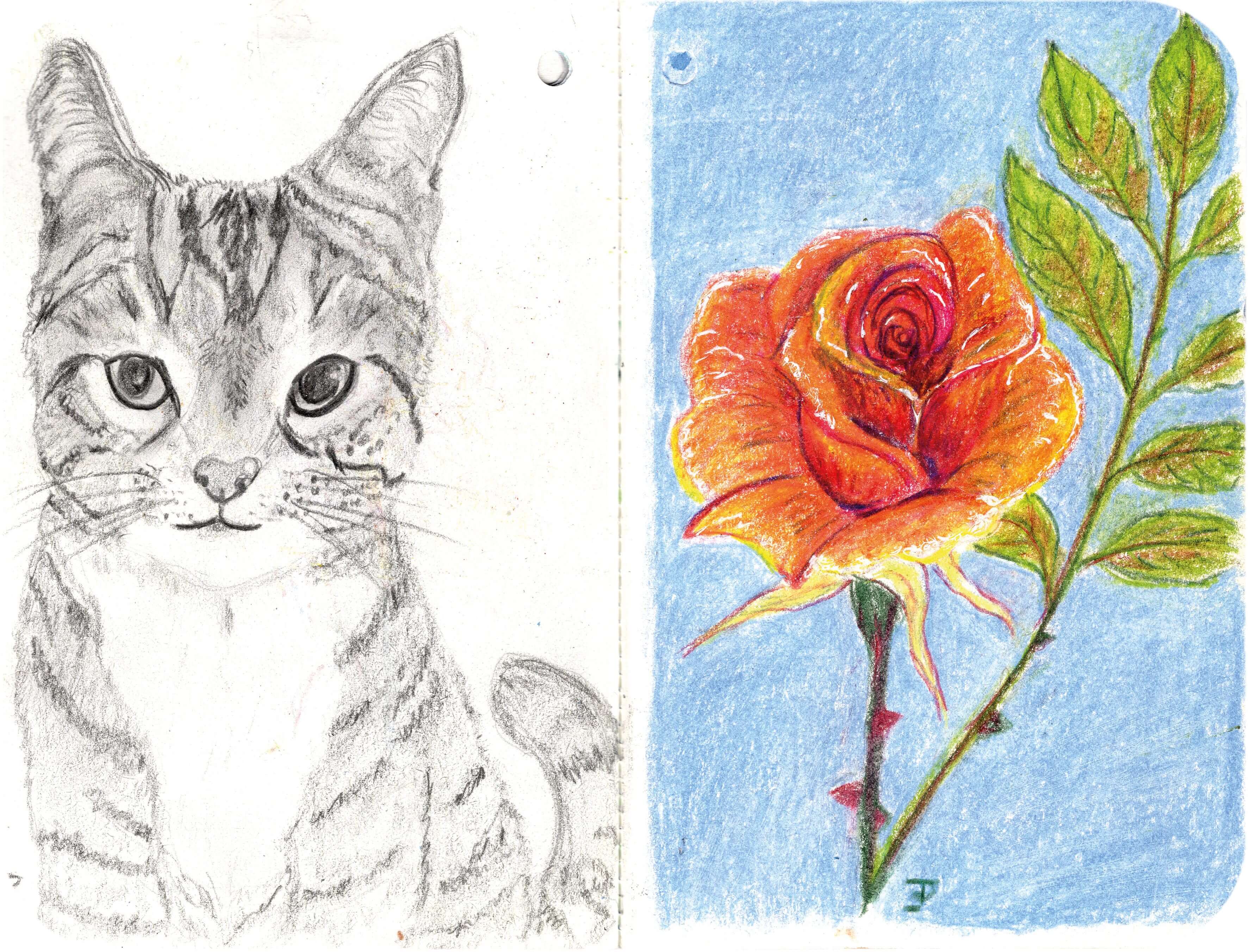 Titelbild von Sketchbook 00345