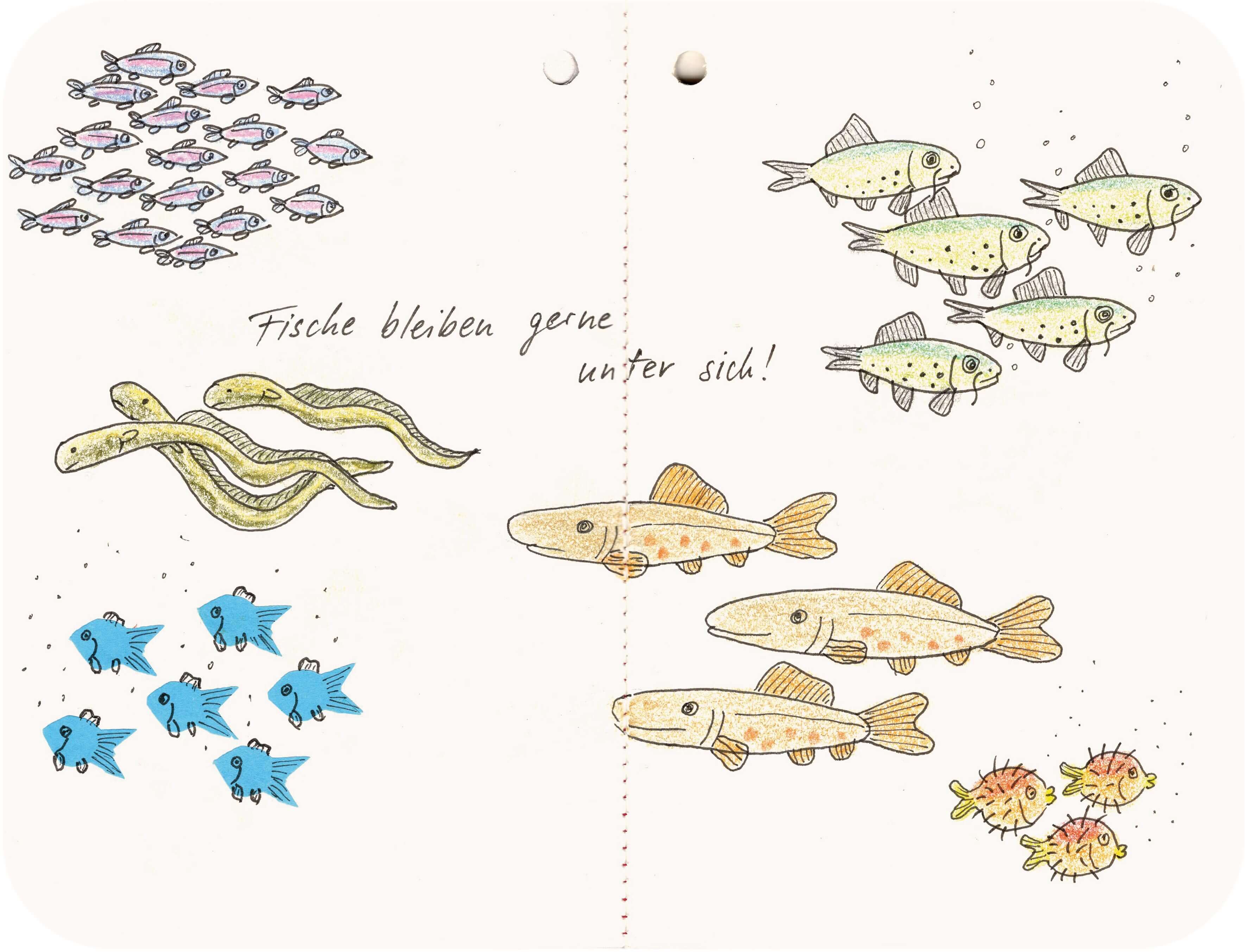 Titelbild von Sketchbook 00347