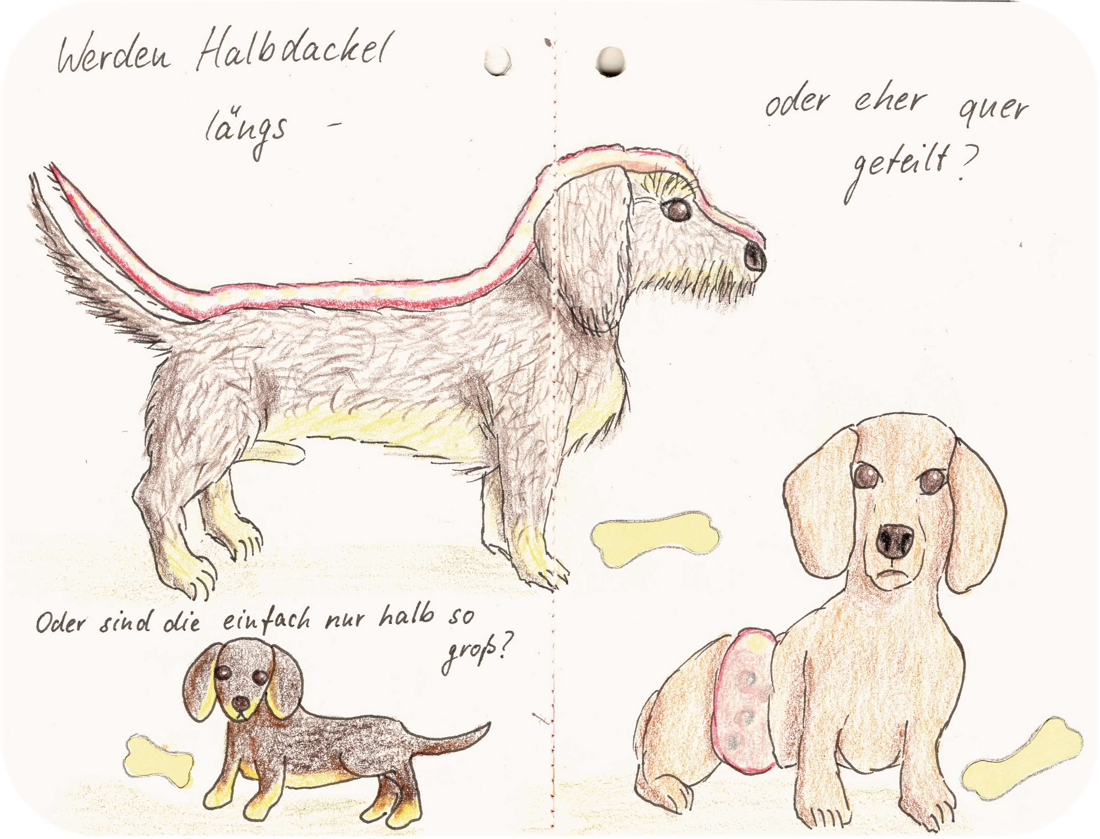 Titelbild von Sketchbook 00347