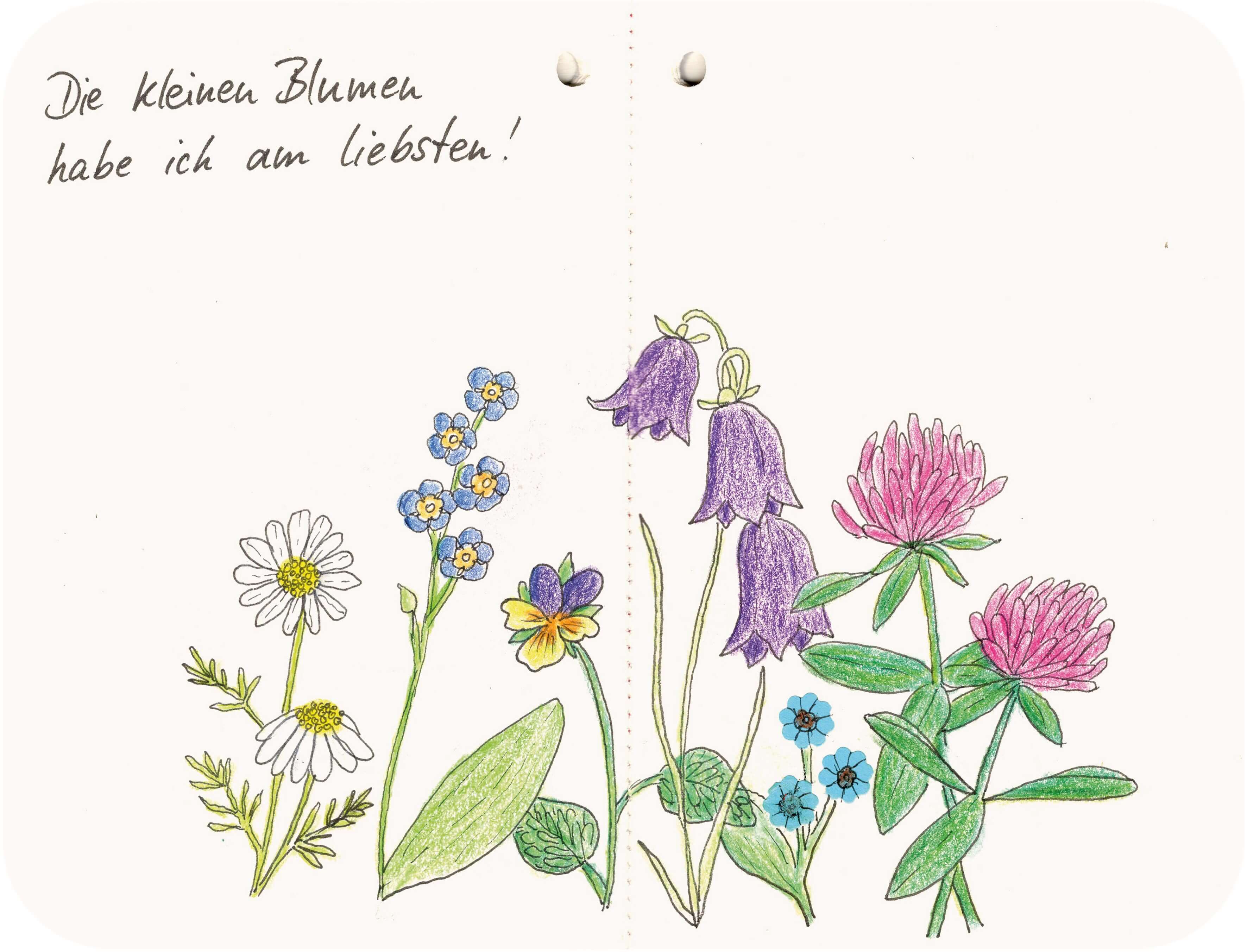 Titelbild von Sketchbook 00347