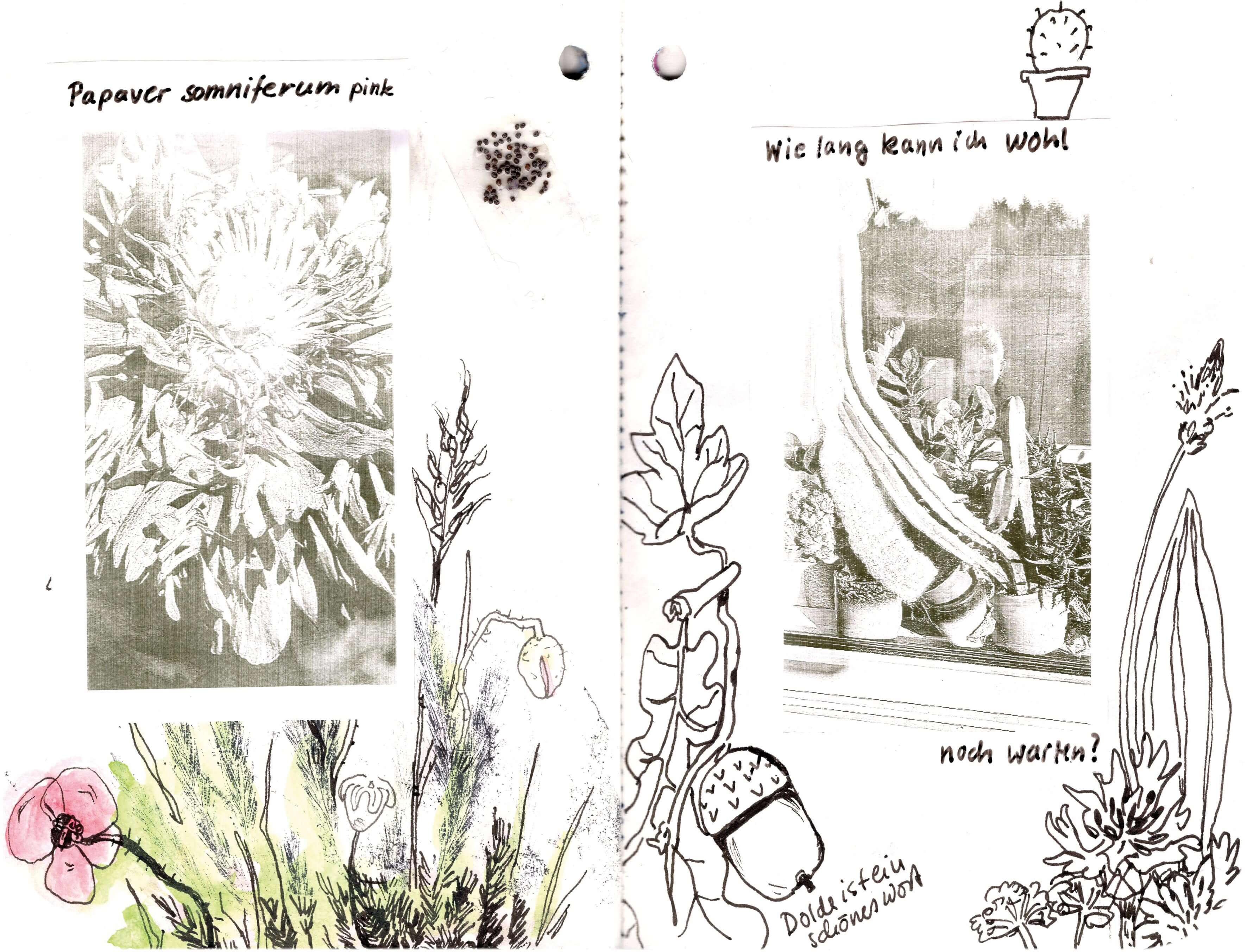 Titelbild von Sketchbook 00349