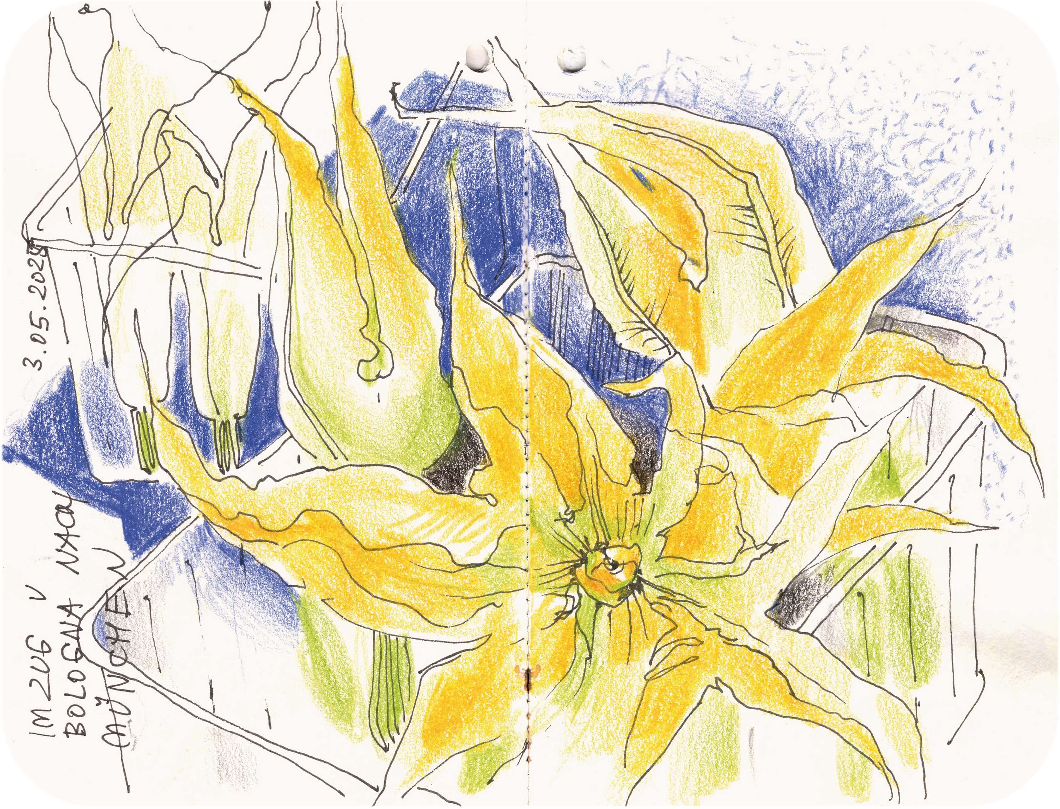 Titelbild von Sketchbook 00353