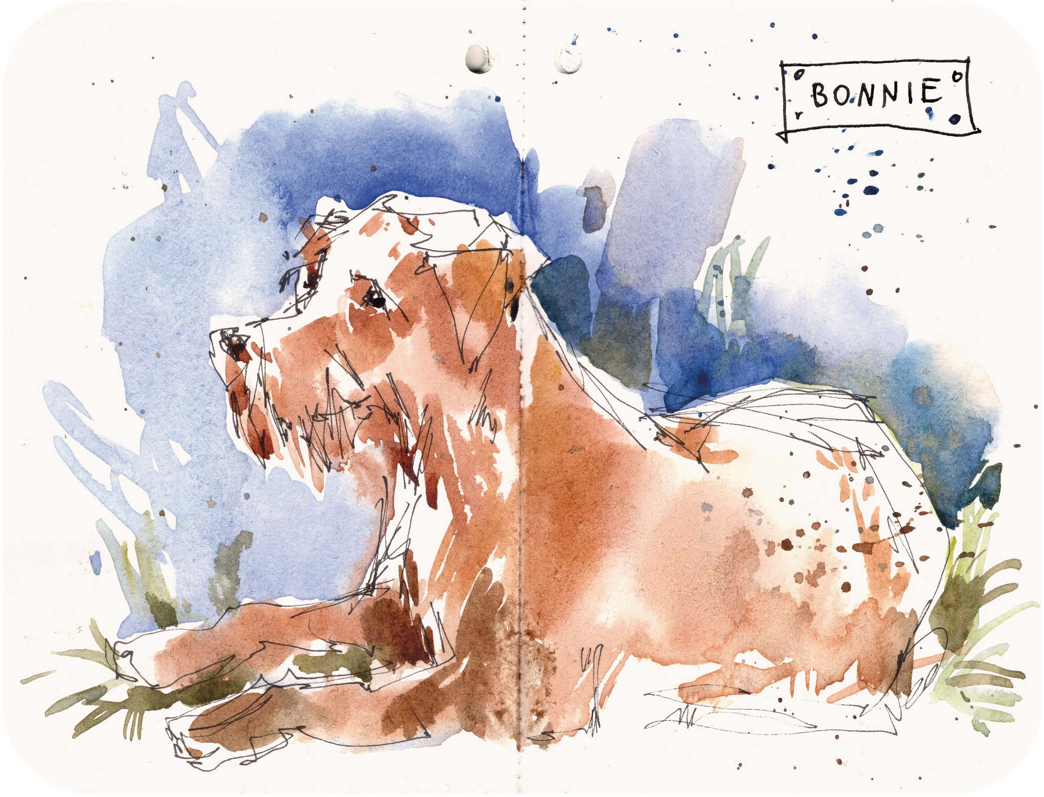 Titelbild von Sketchbook 00353