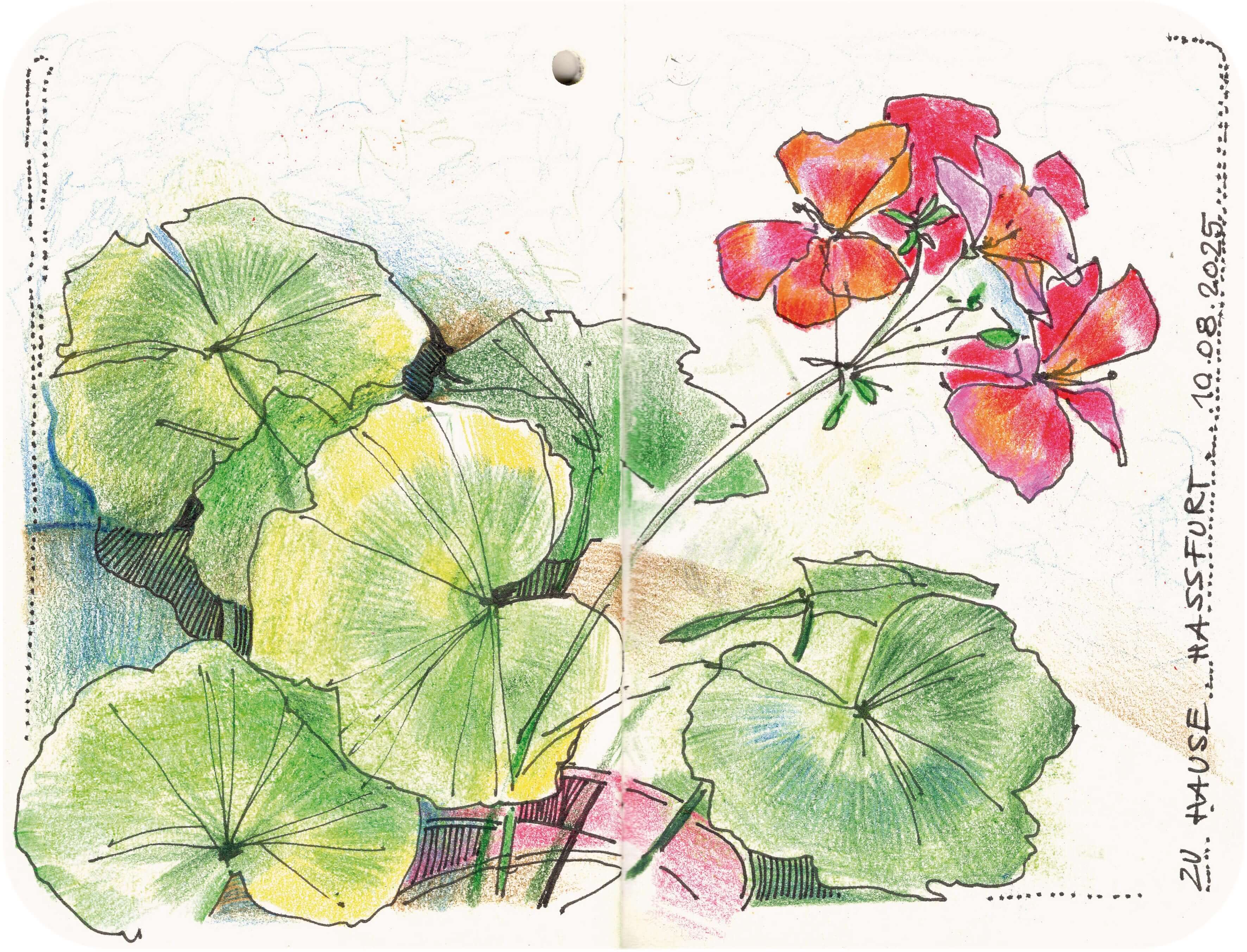 Titelbild von Sketchbook 00353