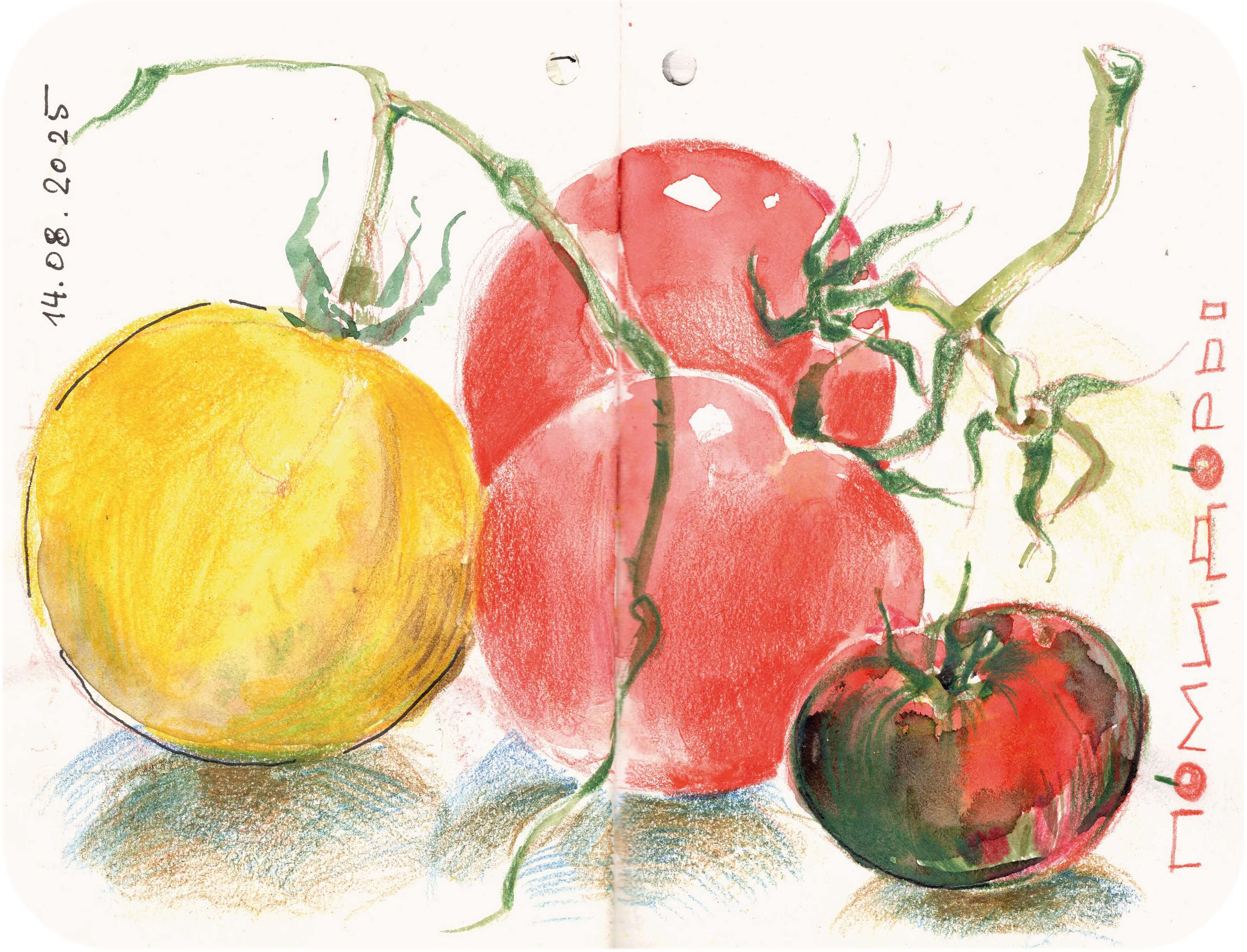 Titelbild von Sketchbook 00353