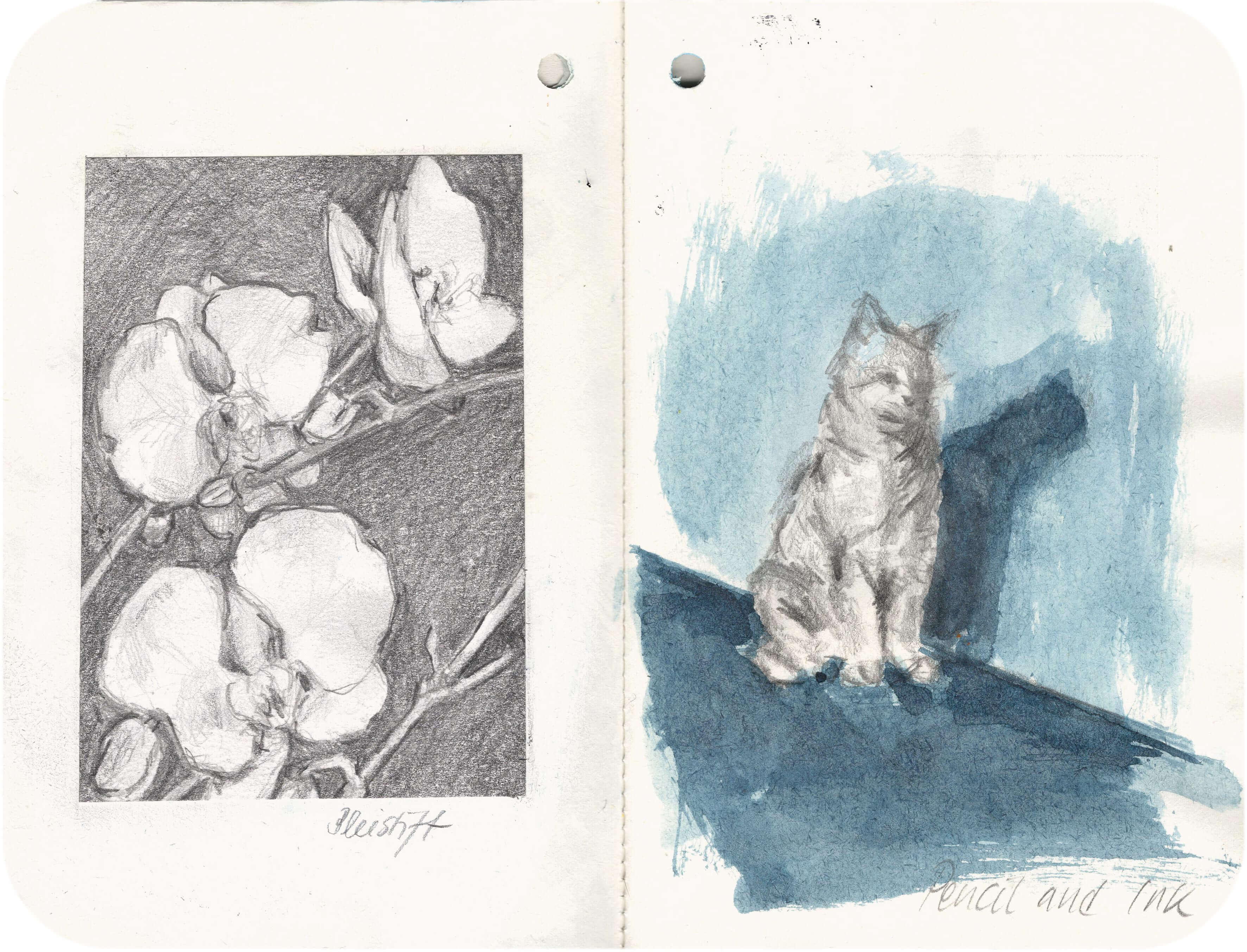 Titelbild von Sketchbook 00364