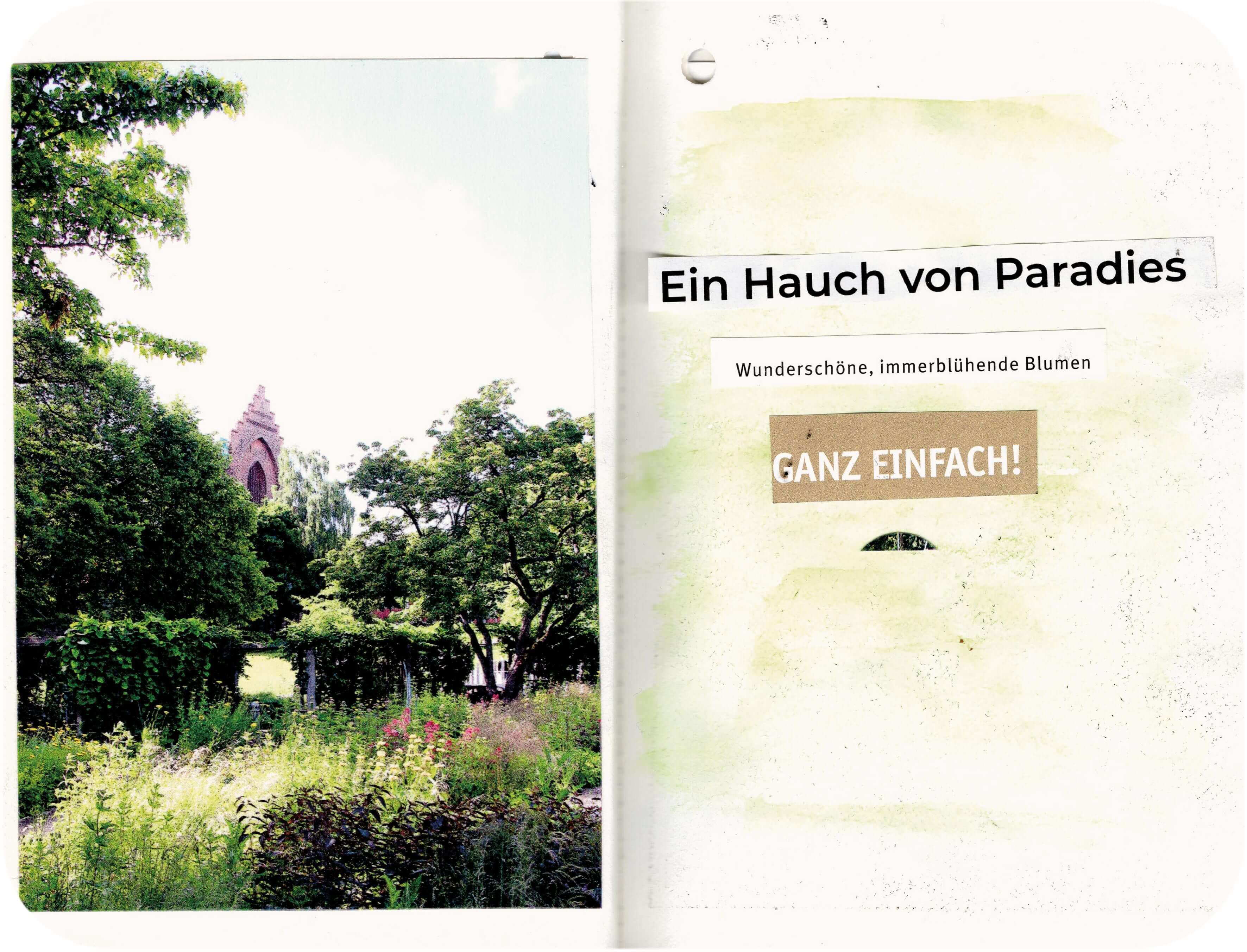 Titelbild von Sketchbook 00371