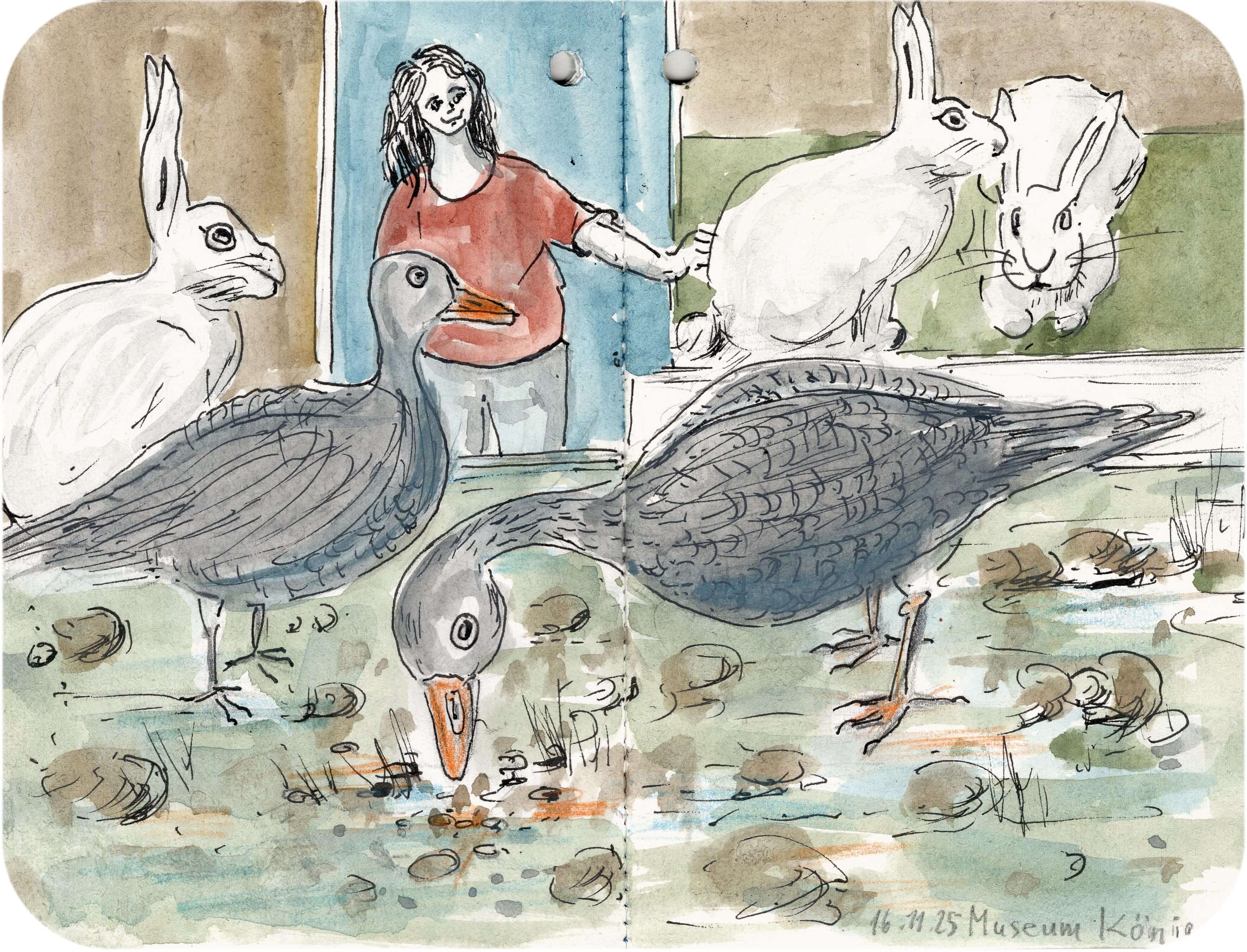 Titelbild von Sketchbook 00374