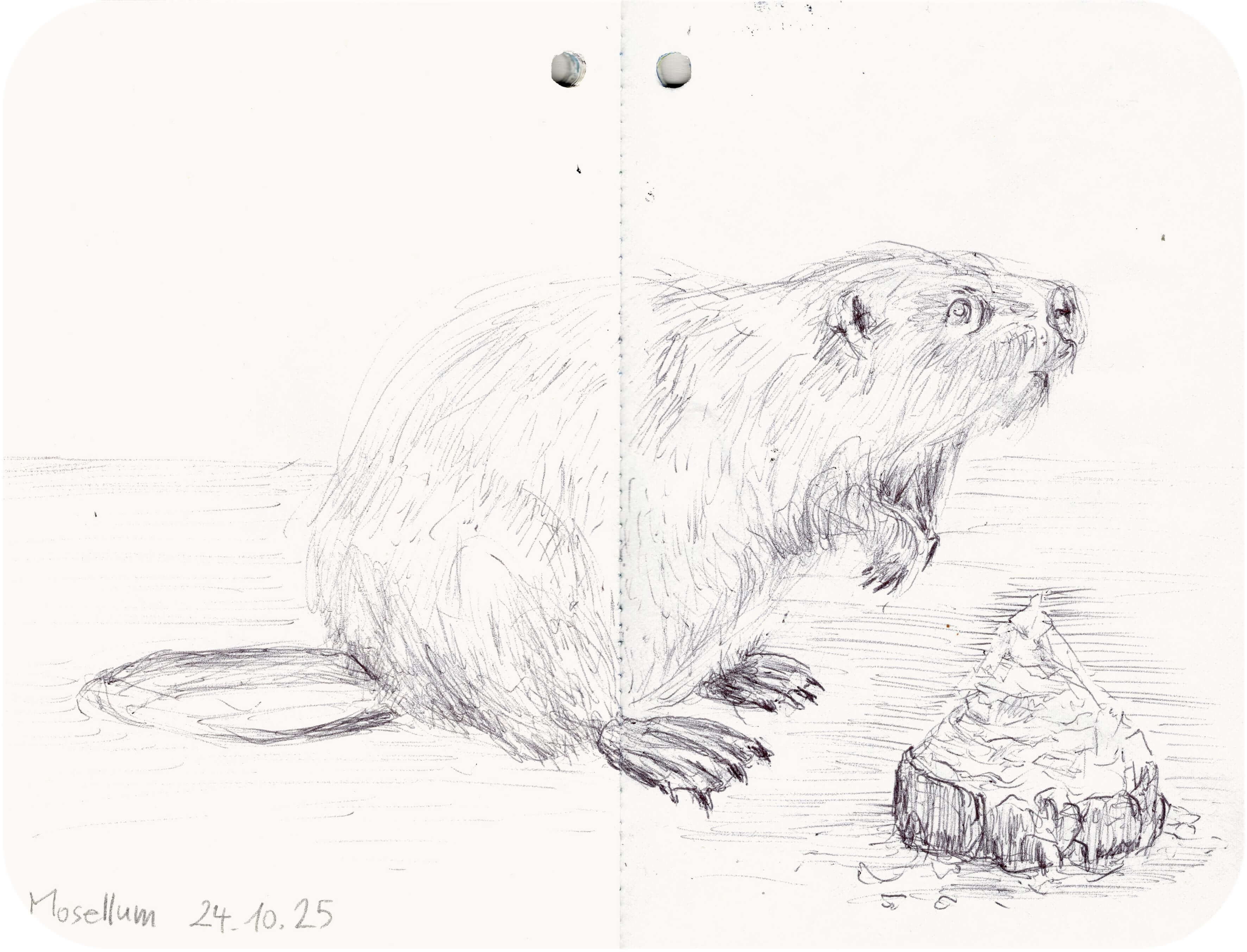 Titelbild von Sketchbook 00374