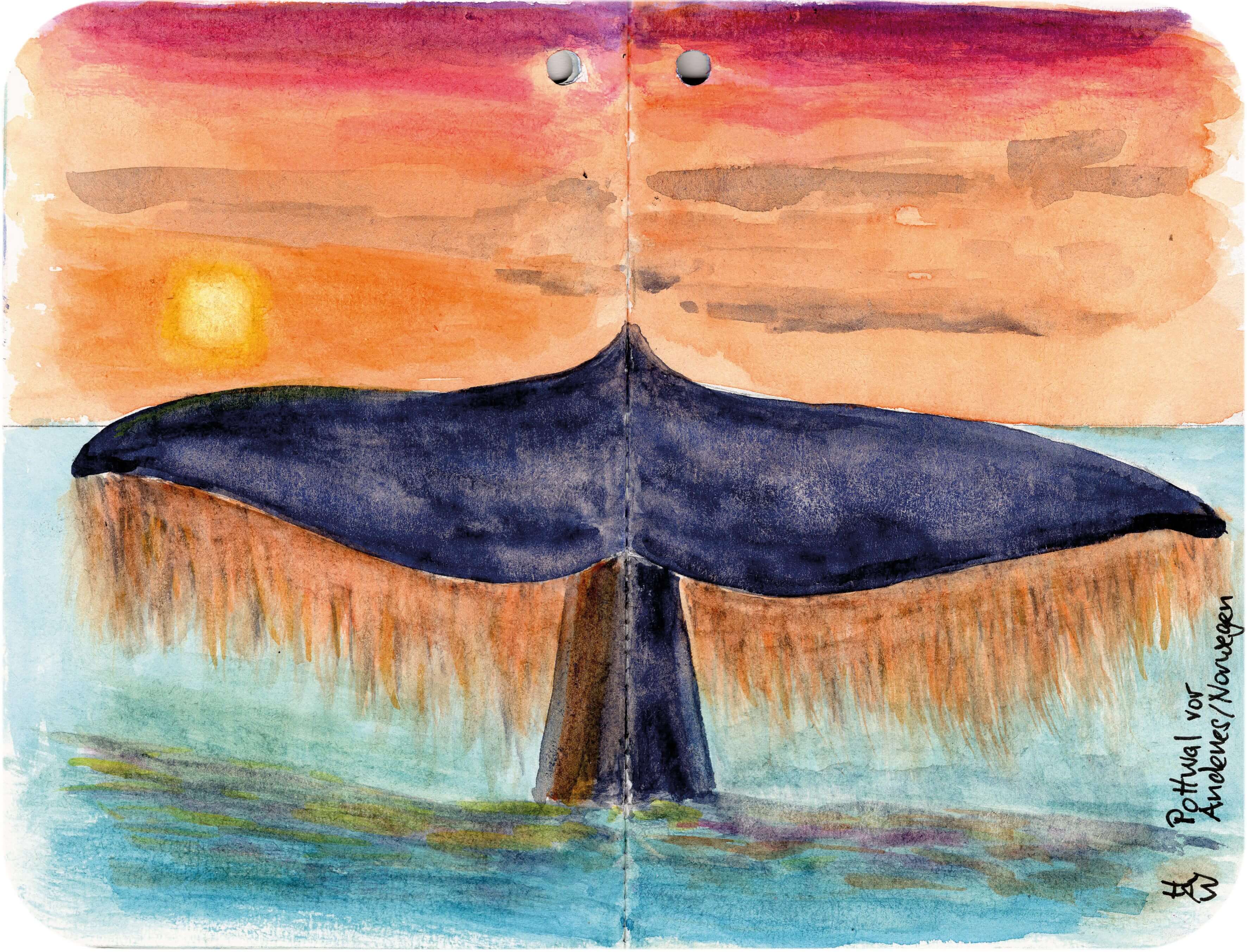 Titelbild von Sketchbook 00375