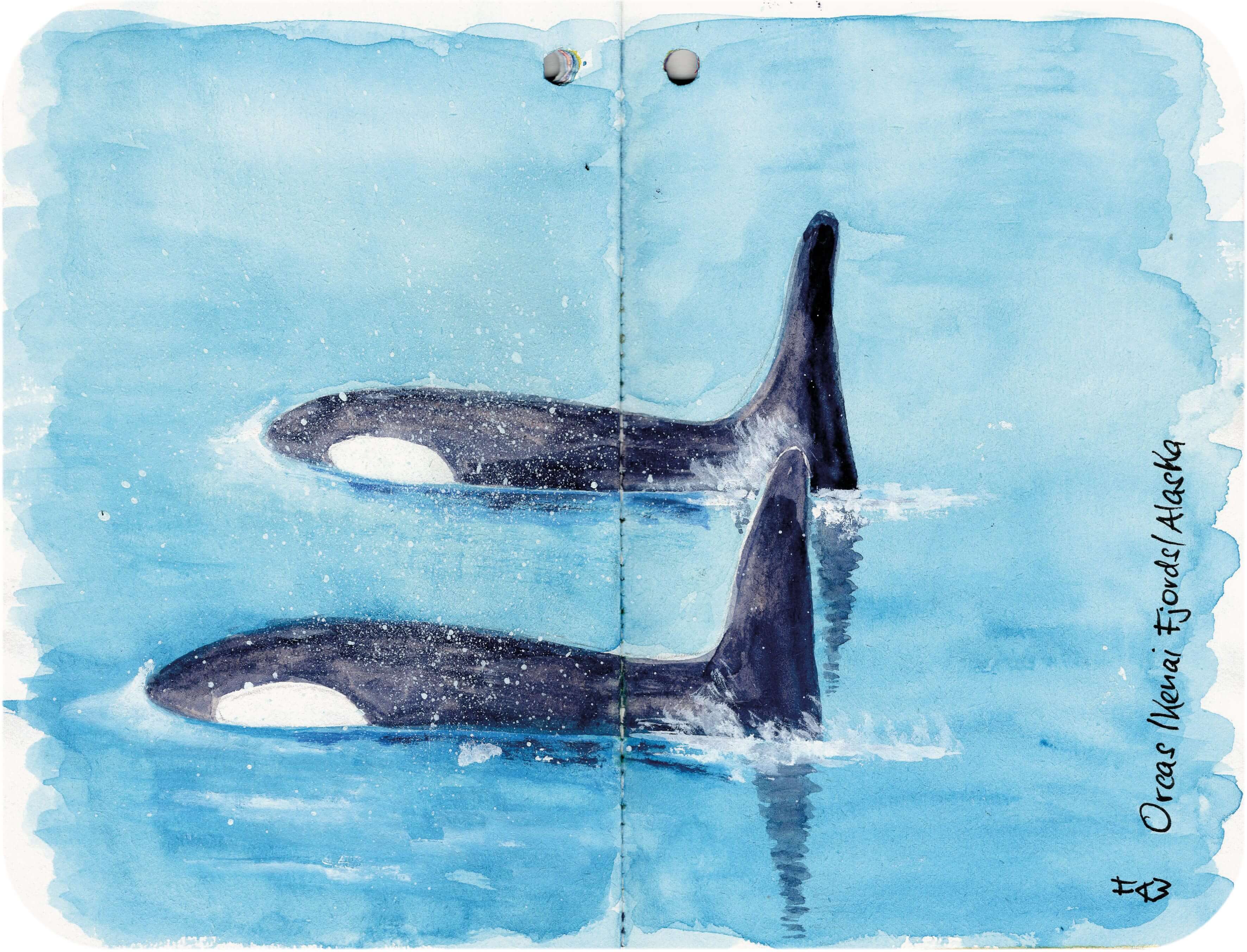 Titelbild von Sketchbook 00375