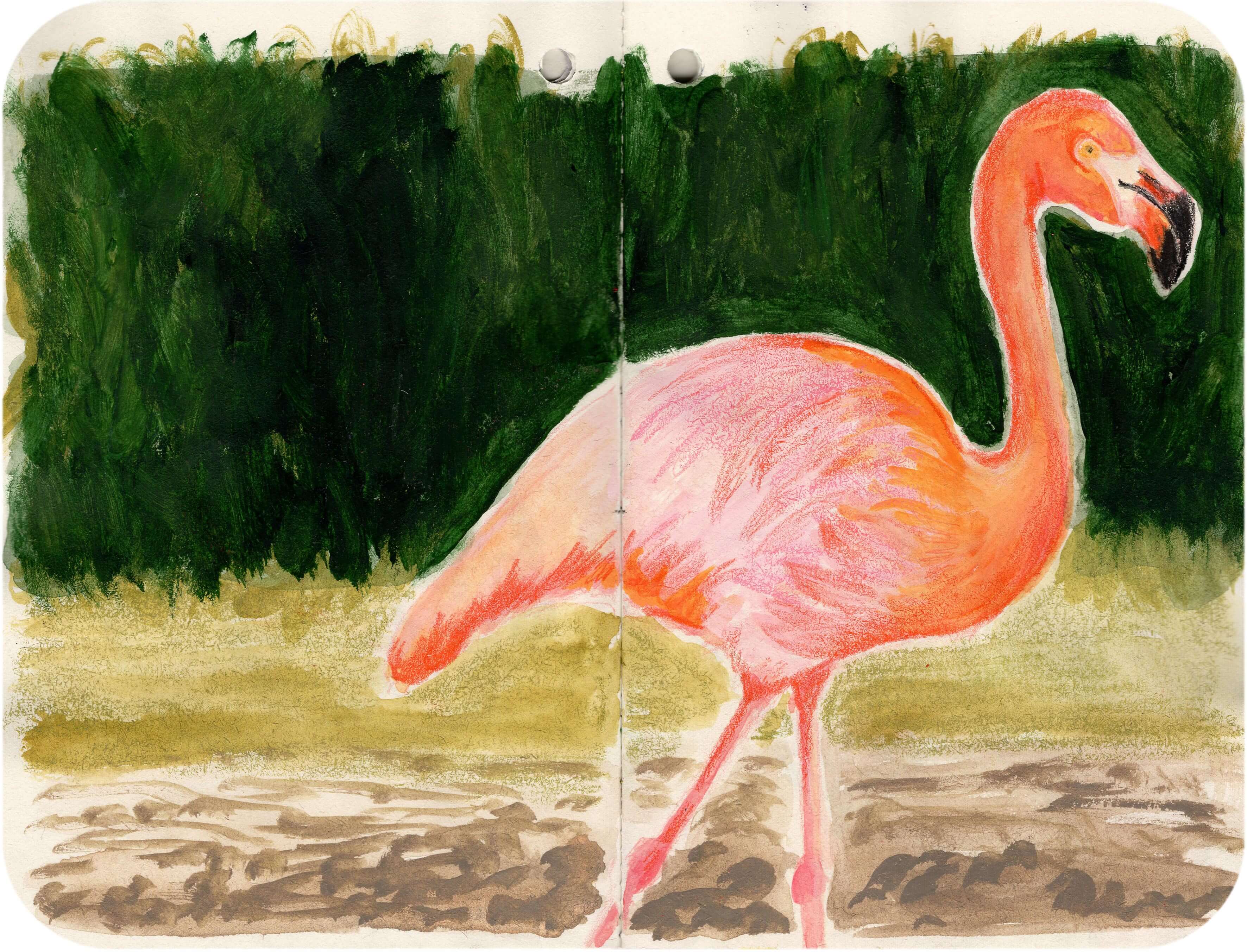 Titelbild von Sketchbook 00381