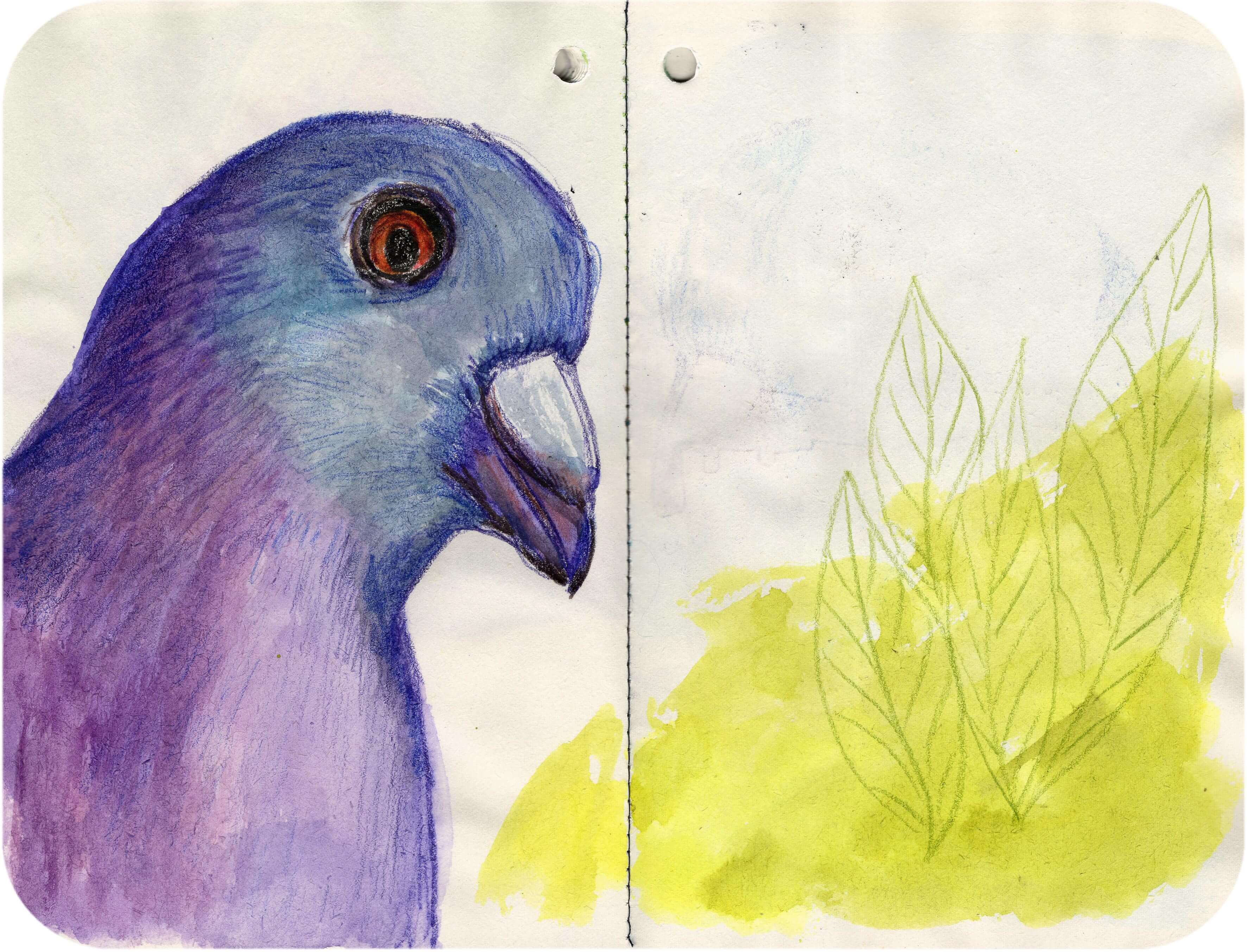 Titelbild von Sketchbook 00381