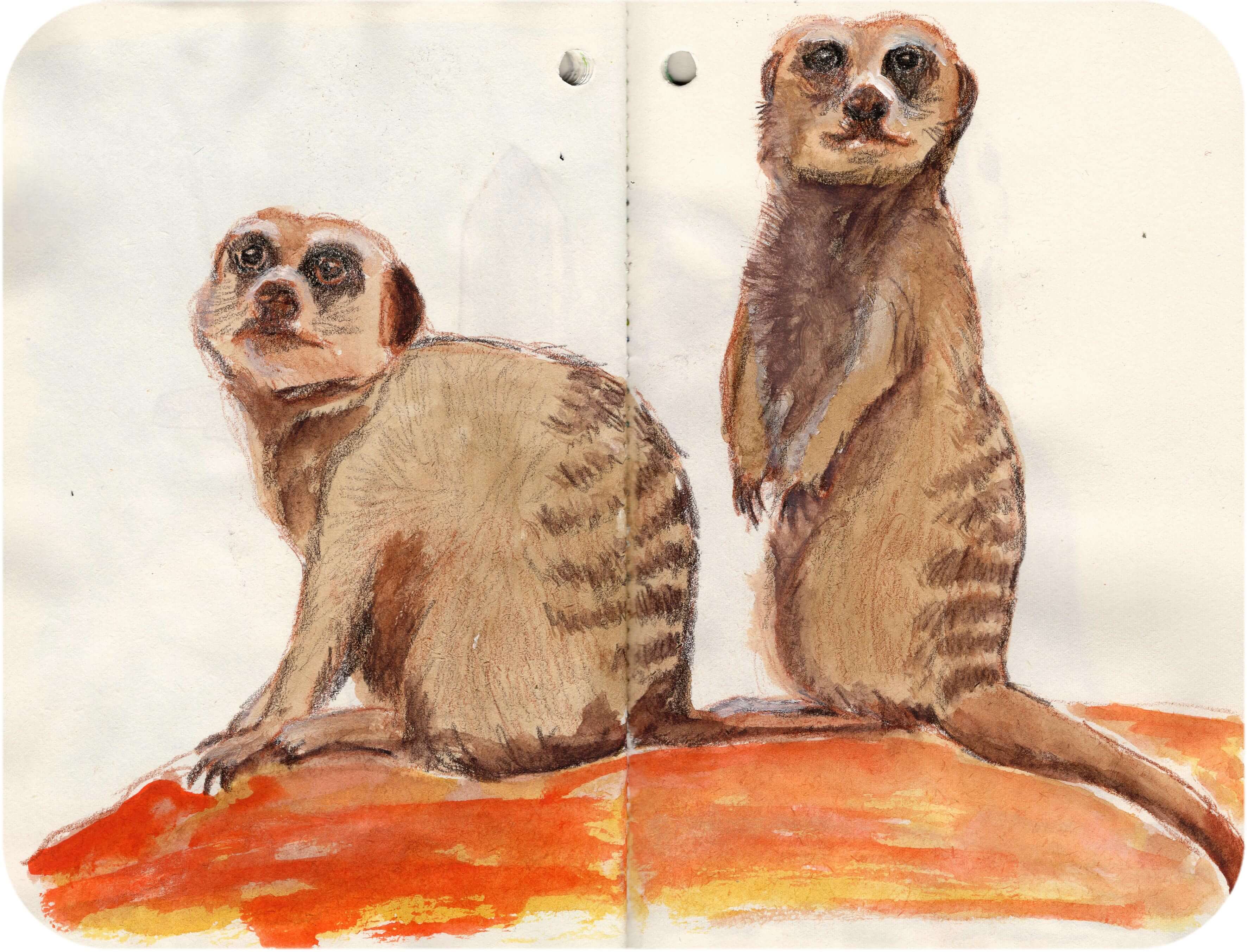 Titelbild von Sketchbook 00381