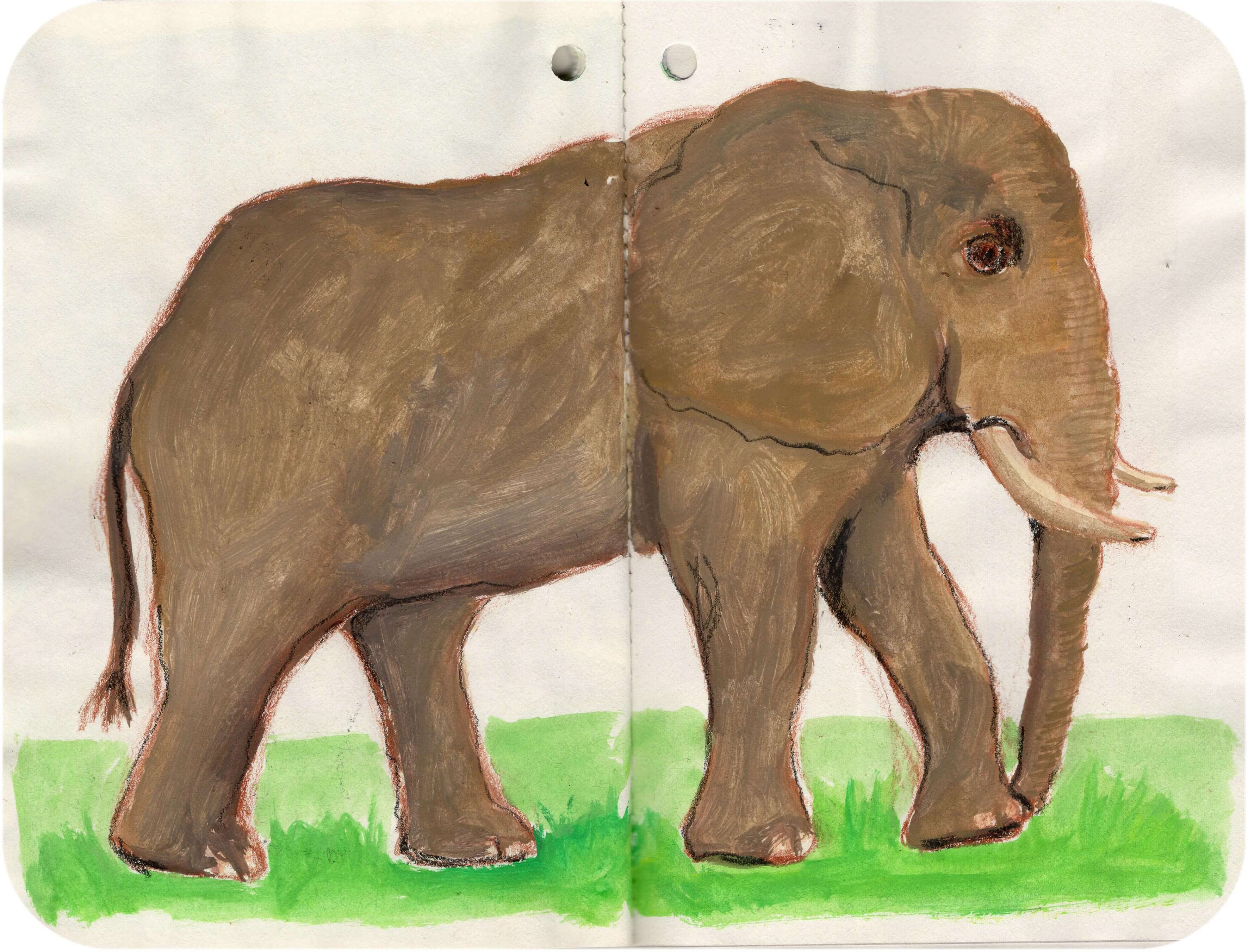 Titelbild von Sketchbook 00381