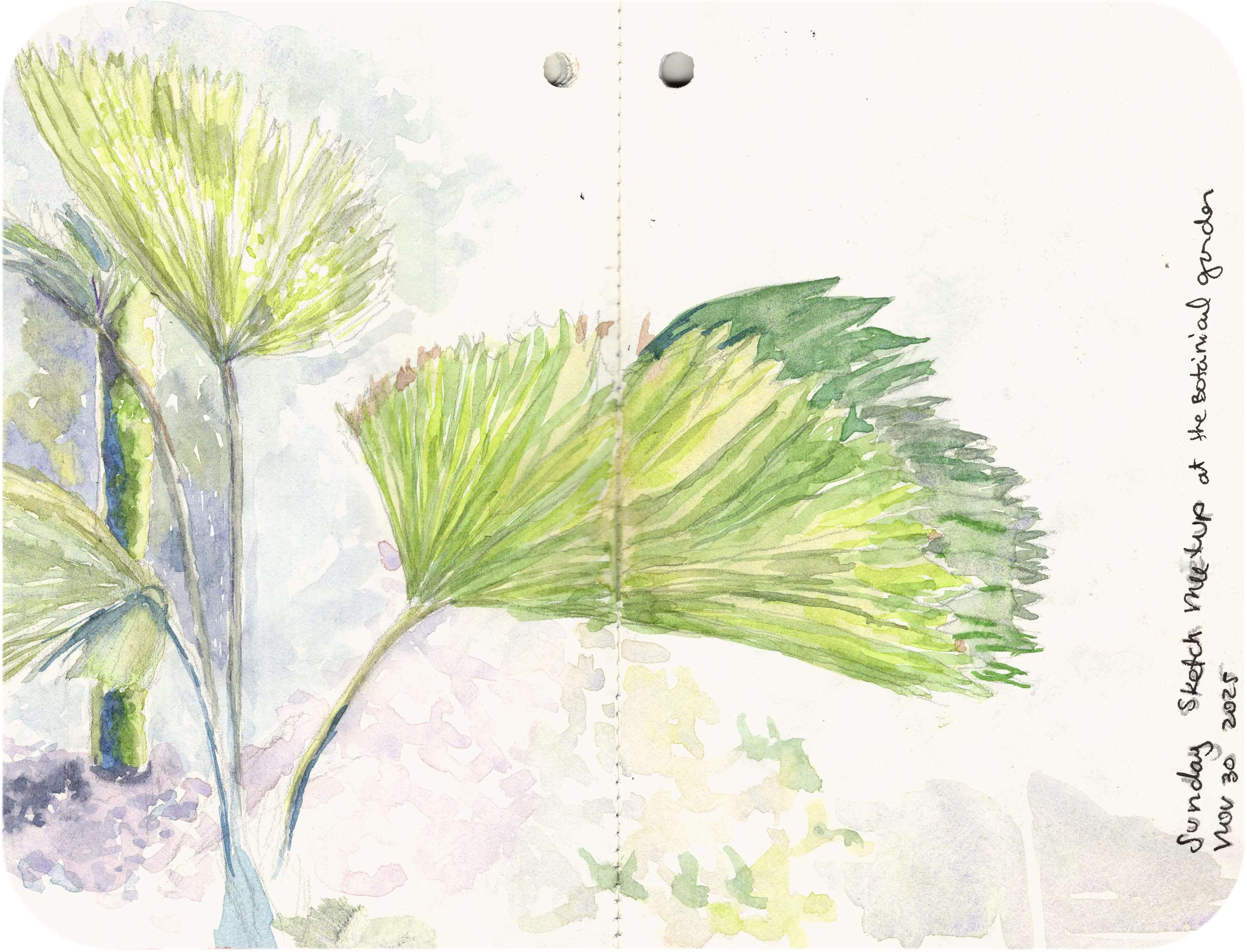 Titelbild von Sketchbook 00386